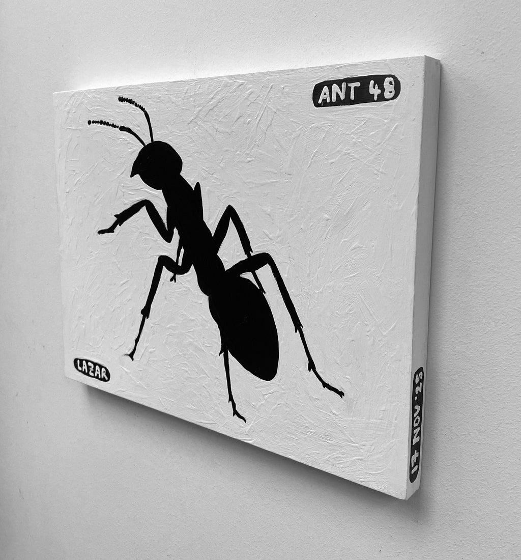 Ant #48