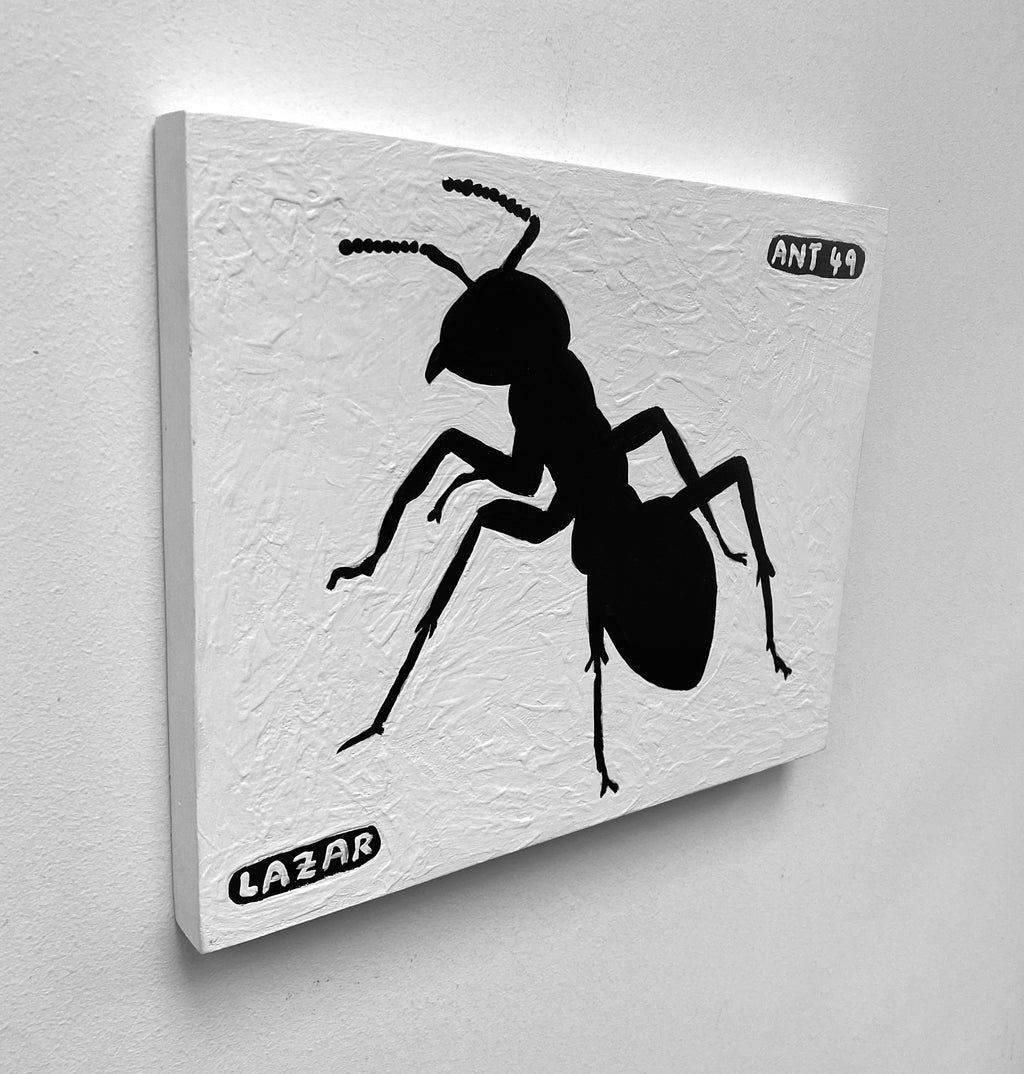 Ant #49
