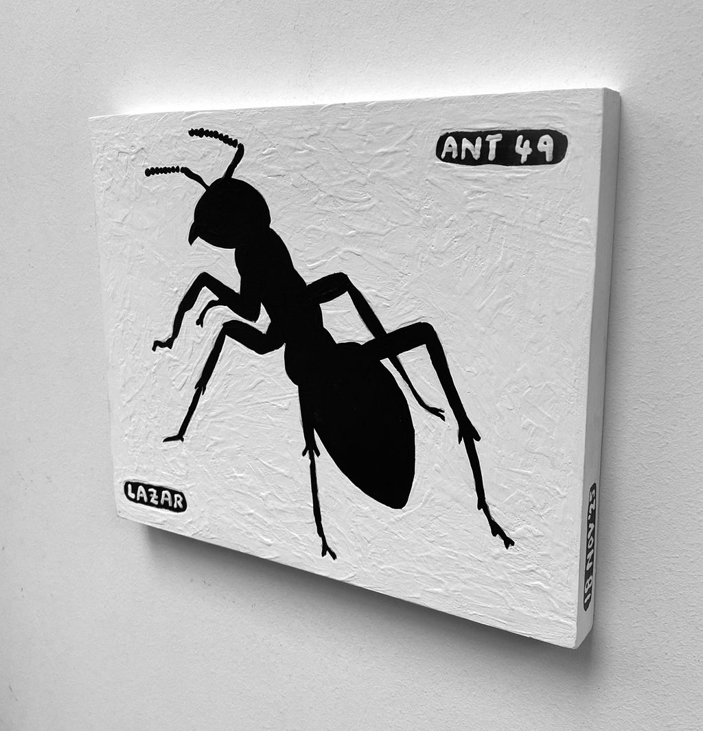Ant #49