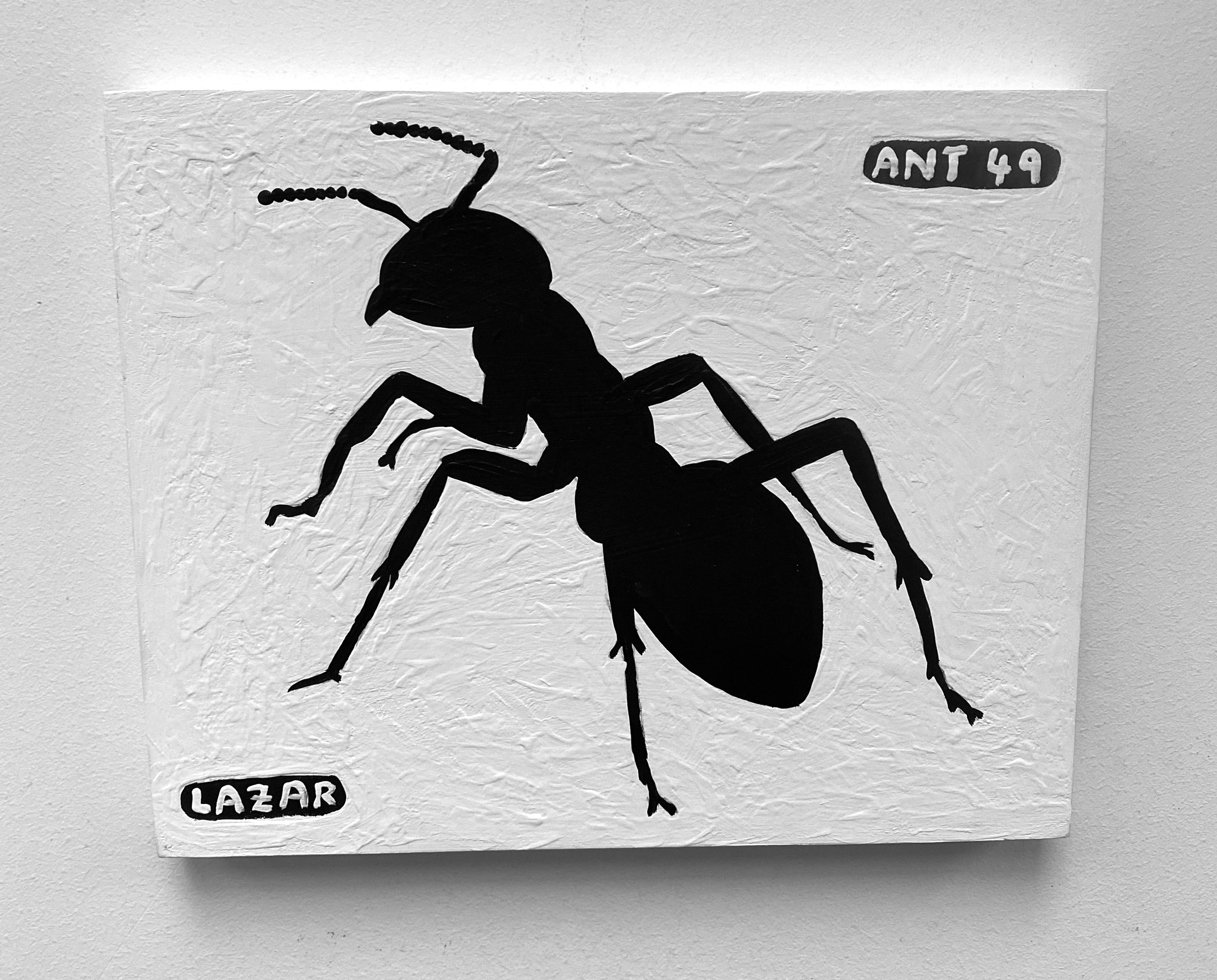 Ant #49