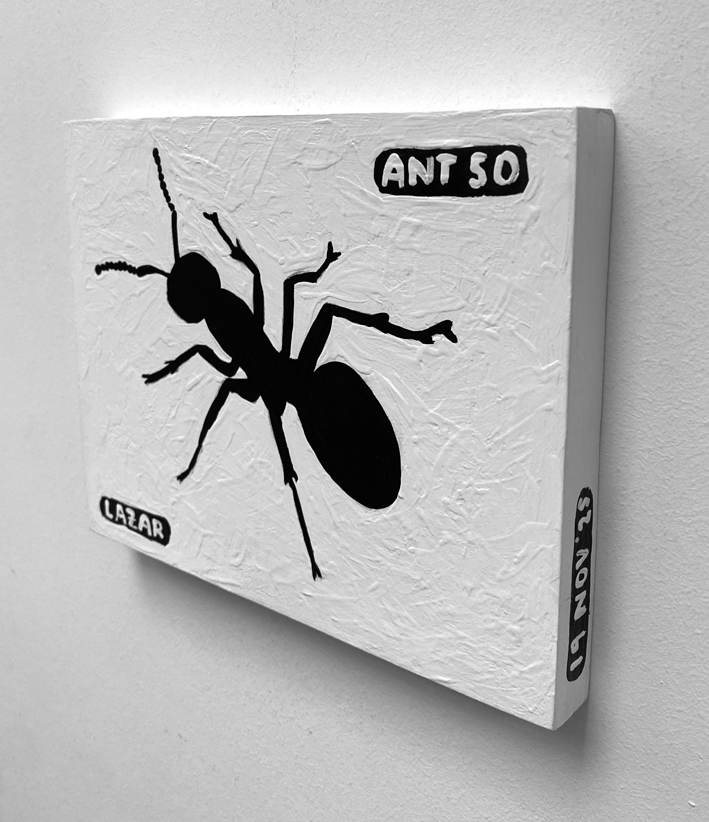 Ant #50