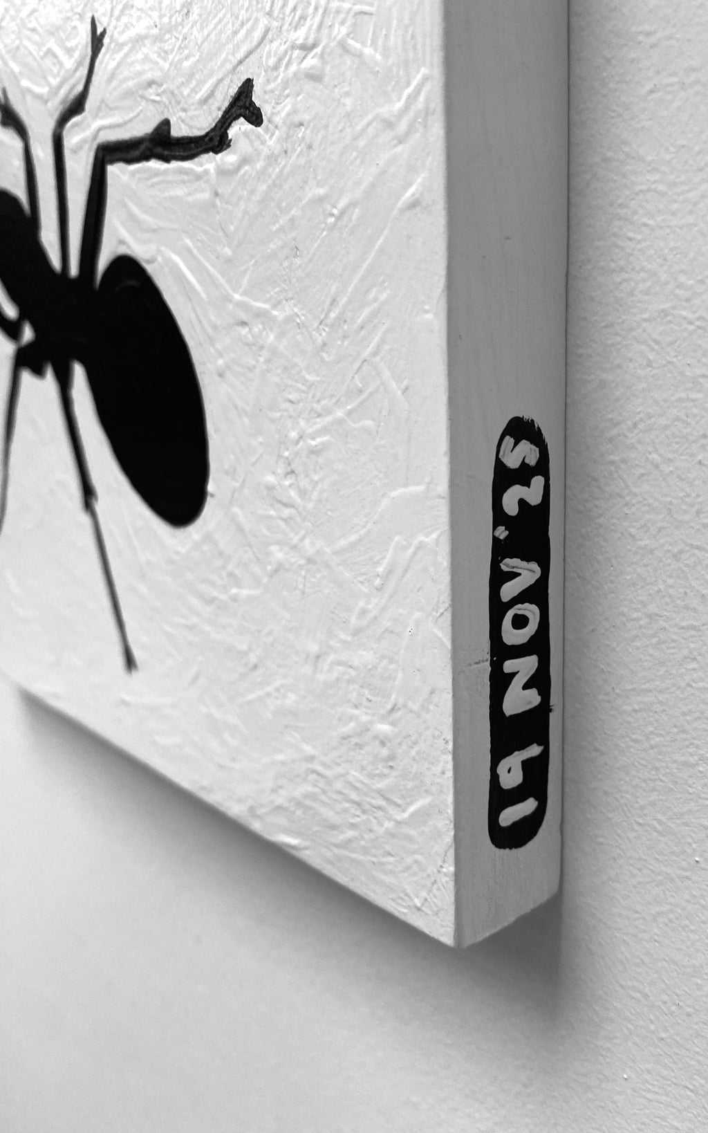 Ant #50