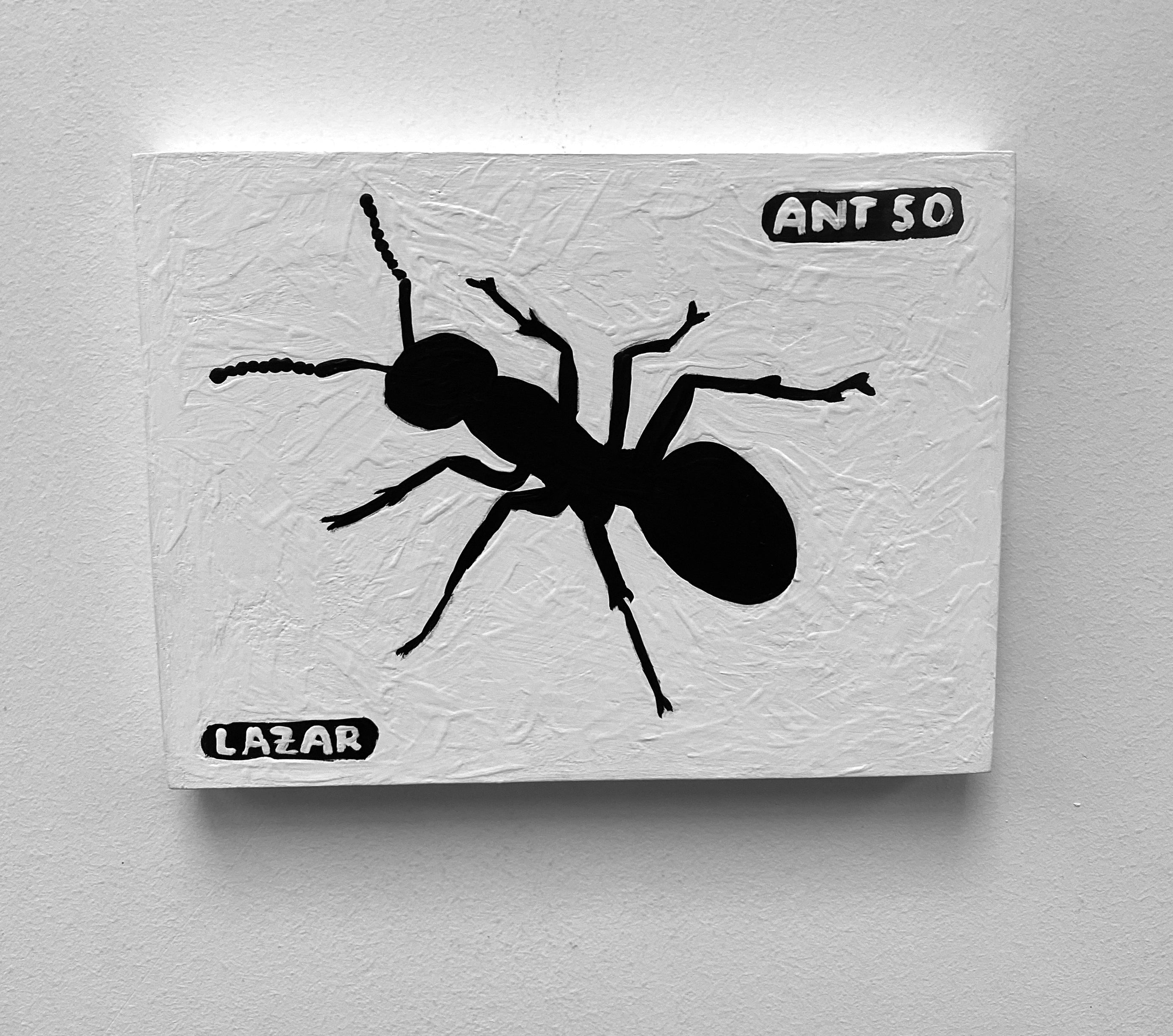 Ant #50