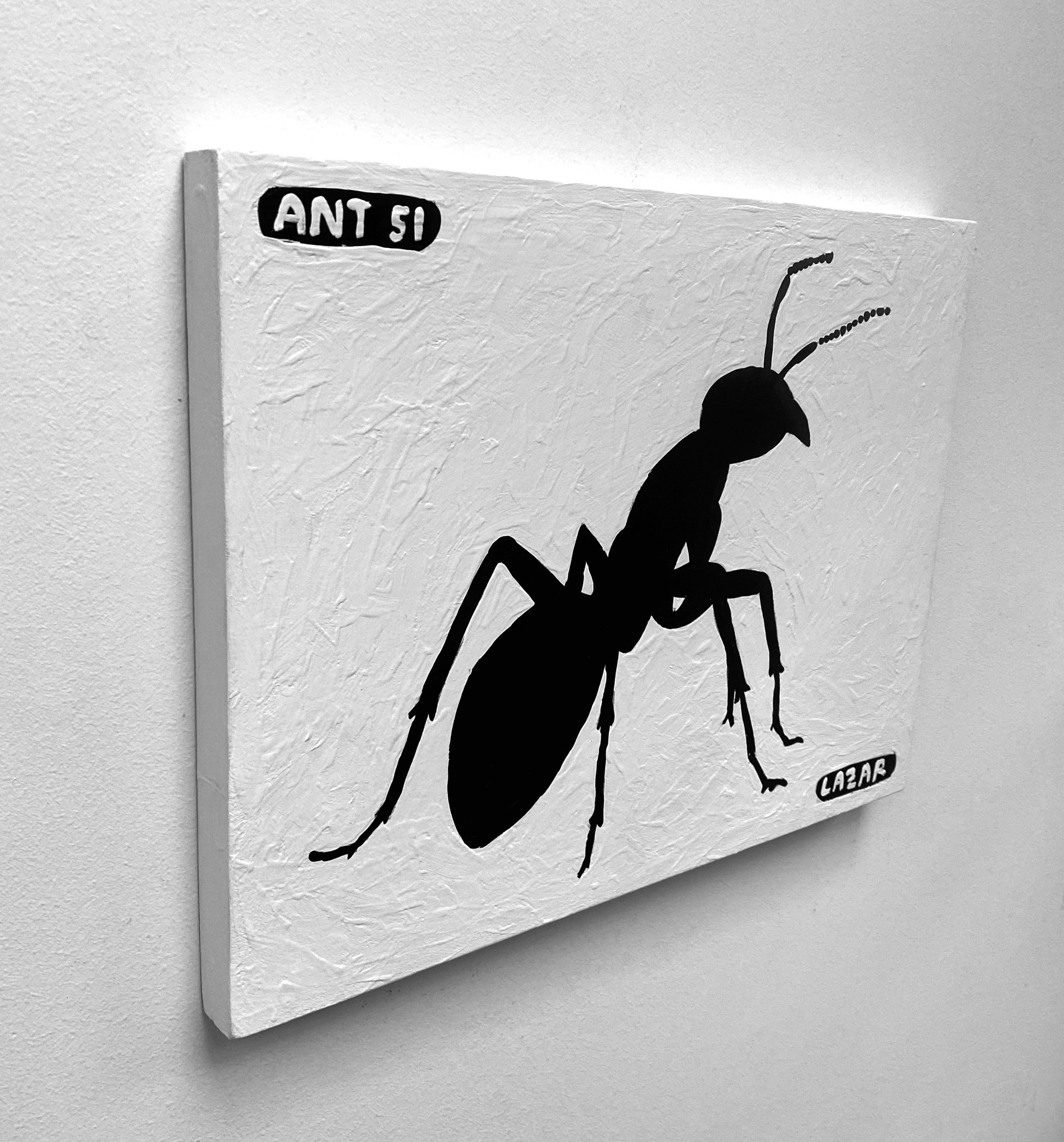 Ant #51