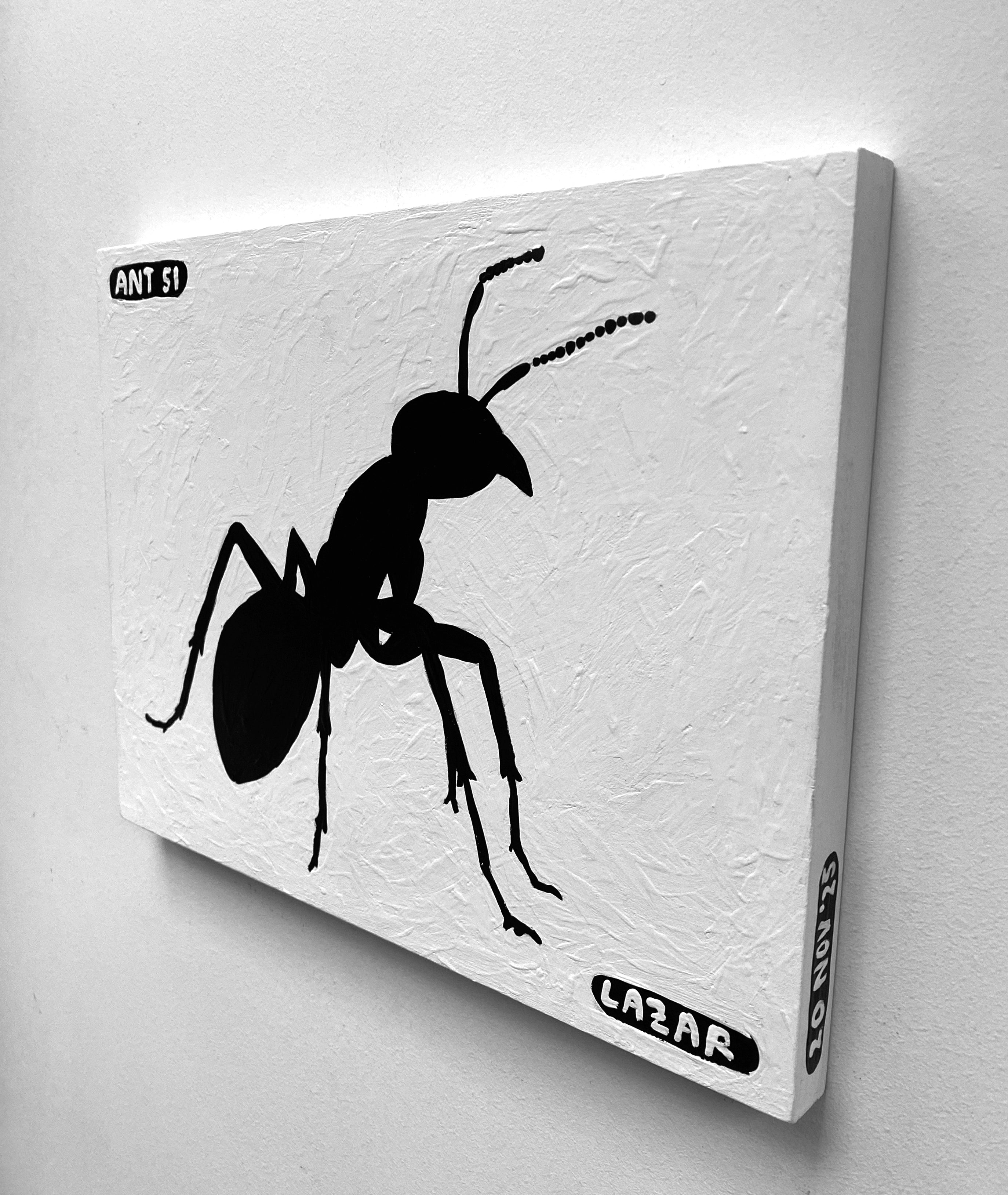 Ant #51