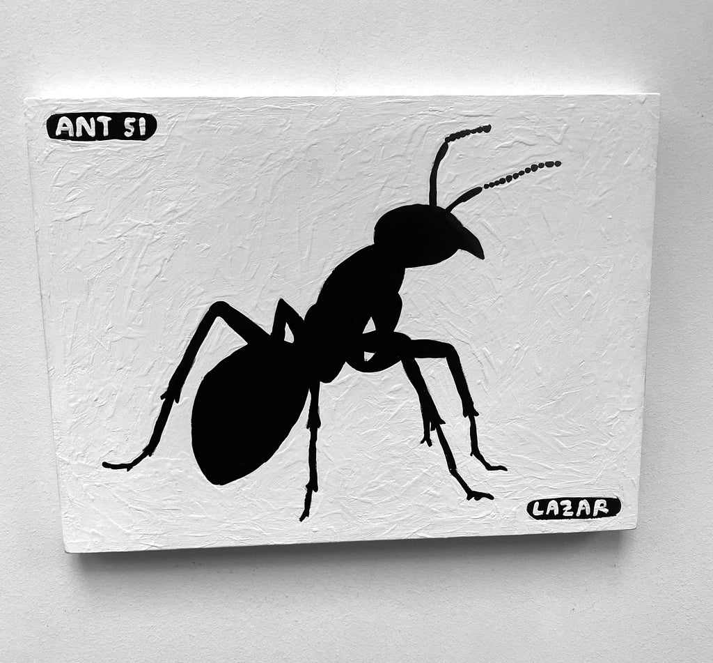 Ant #51