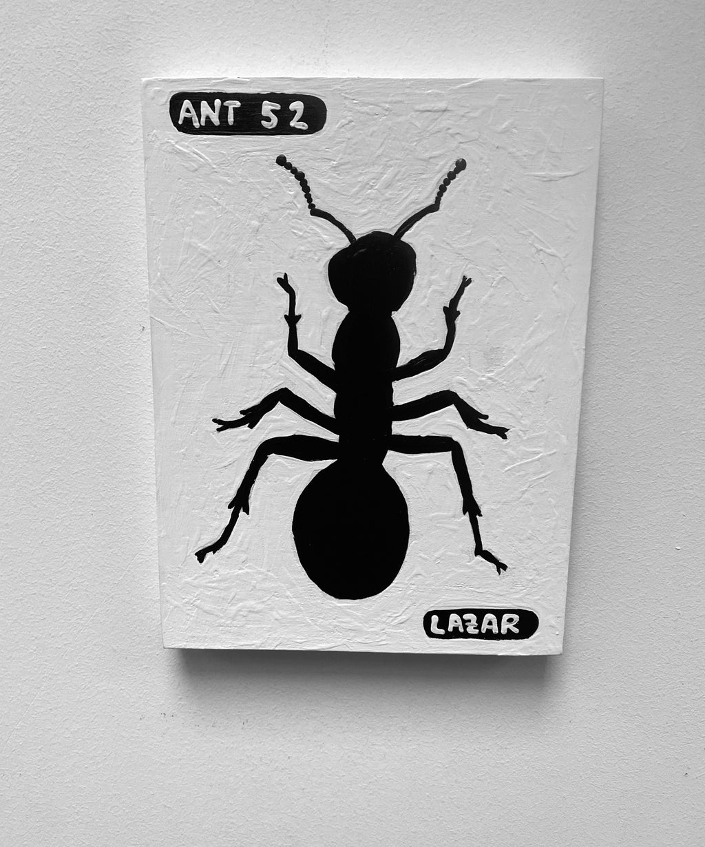 Ant #52