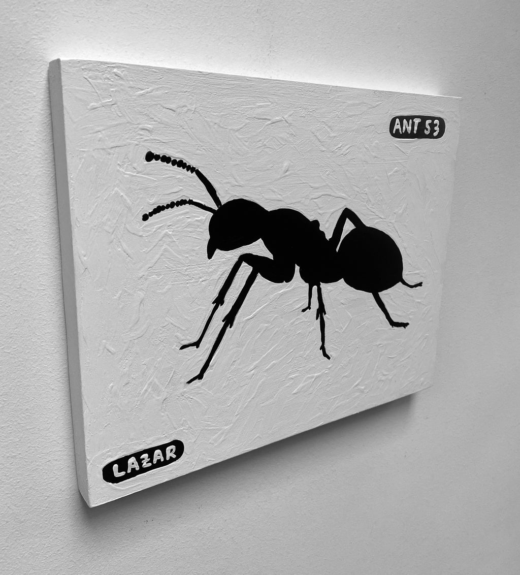 Ant #53