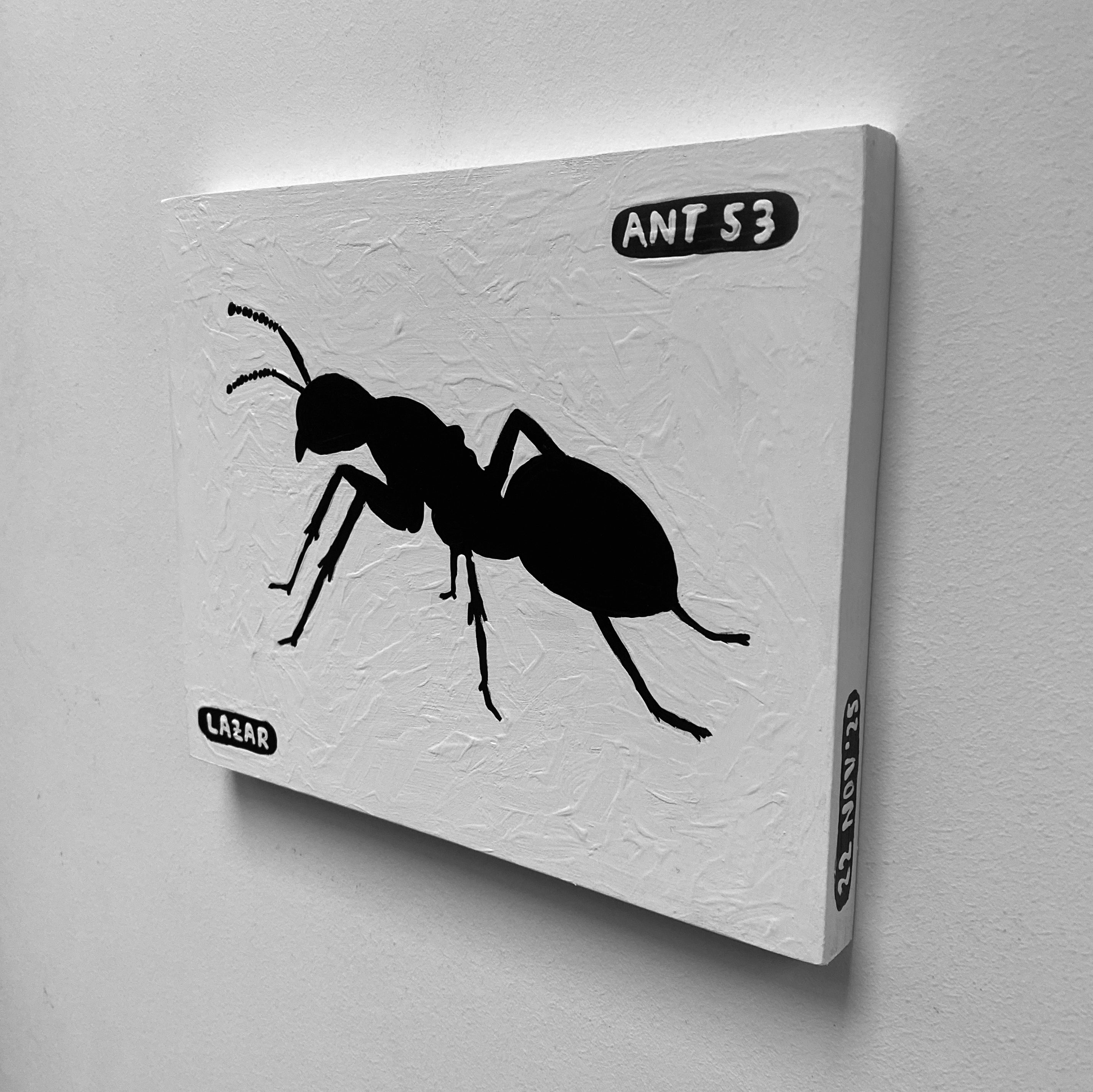 Ant #53