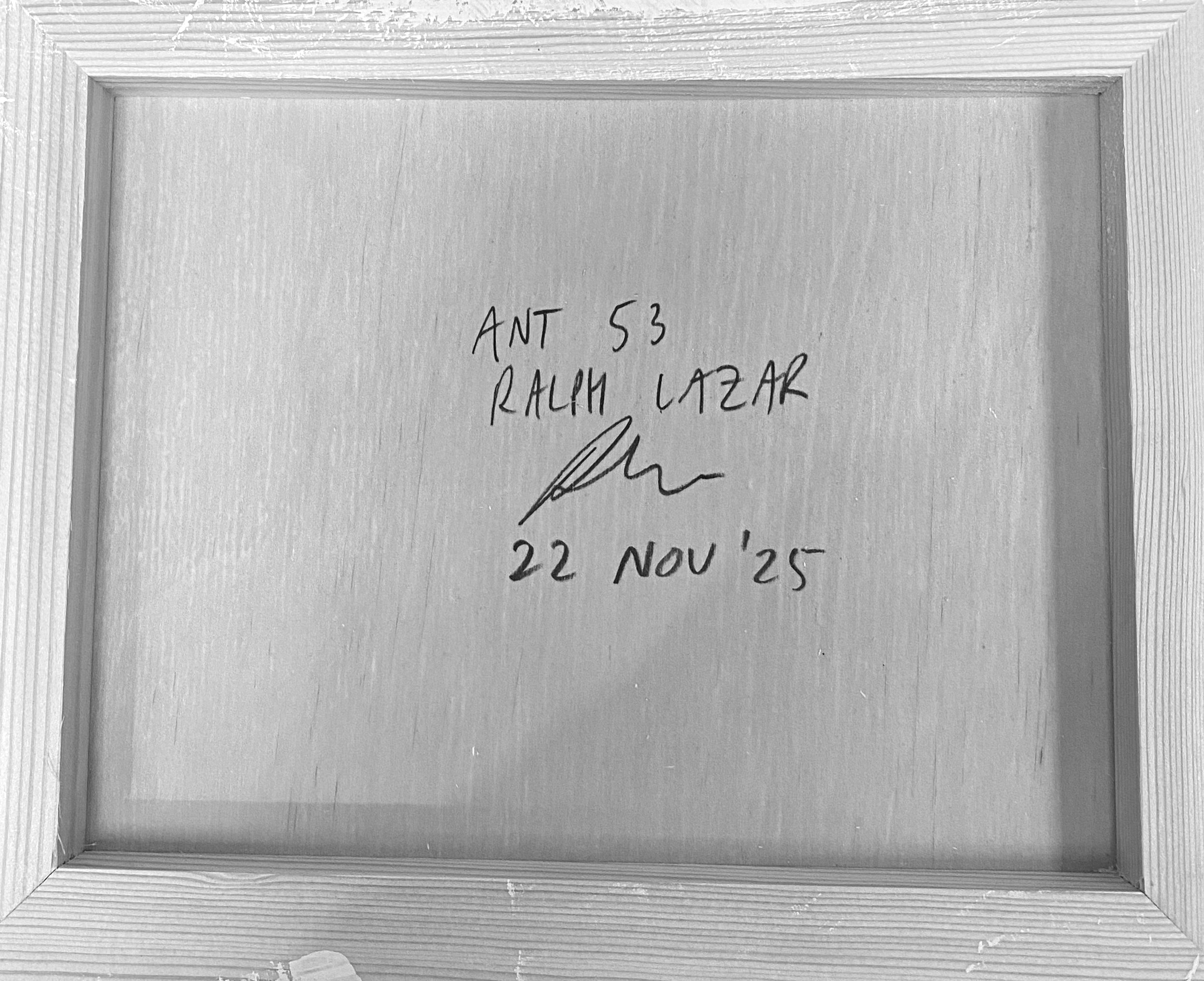 Ant #53