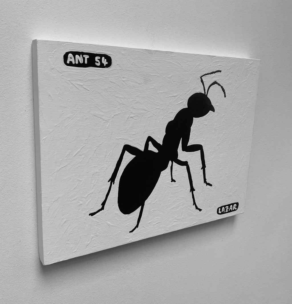 Ant #54