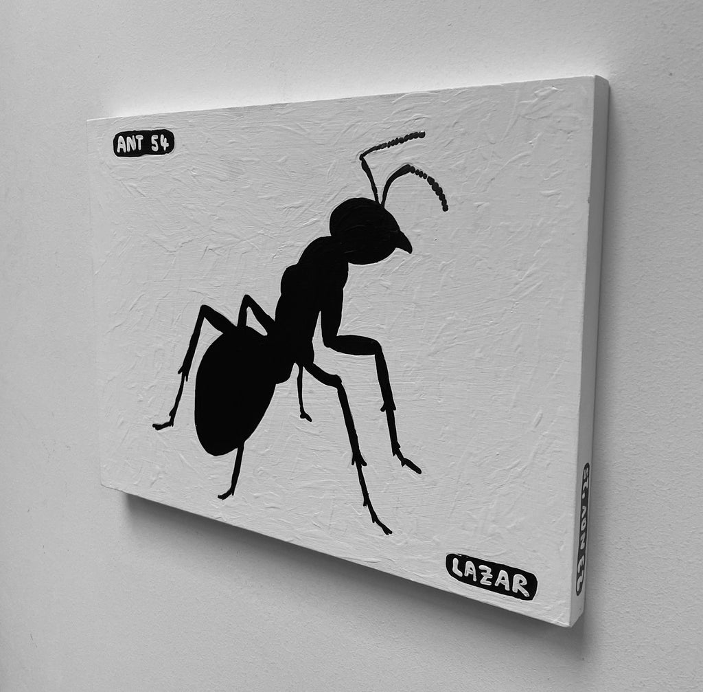 Ant #54