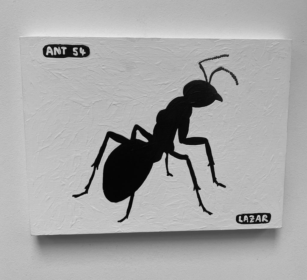 Ant #54