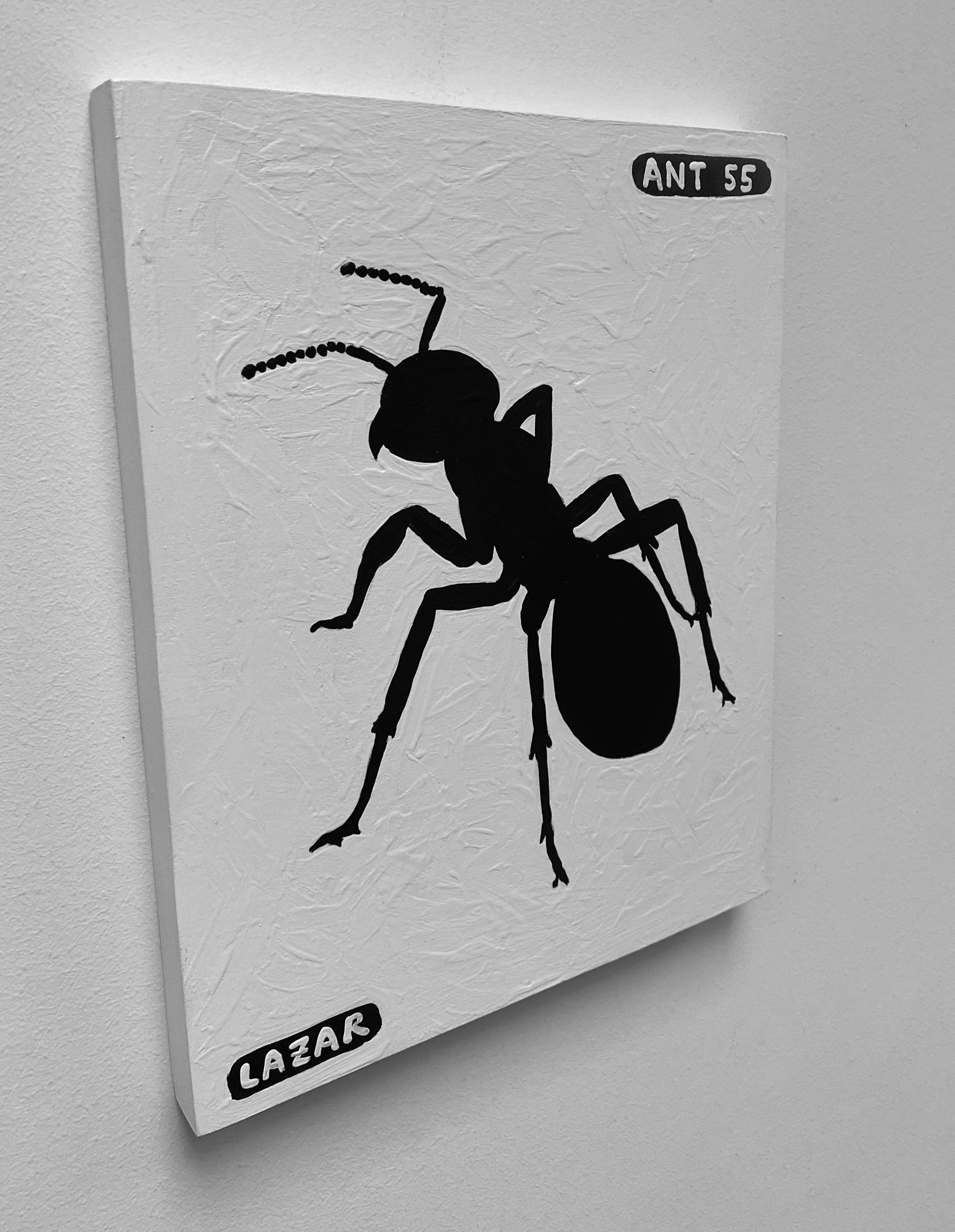 Ant #55