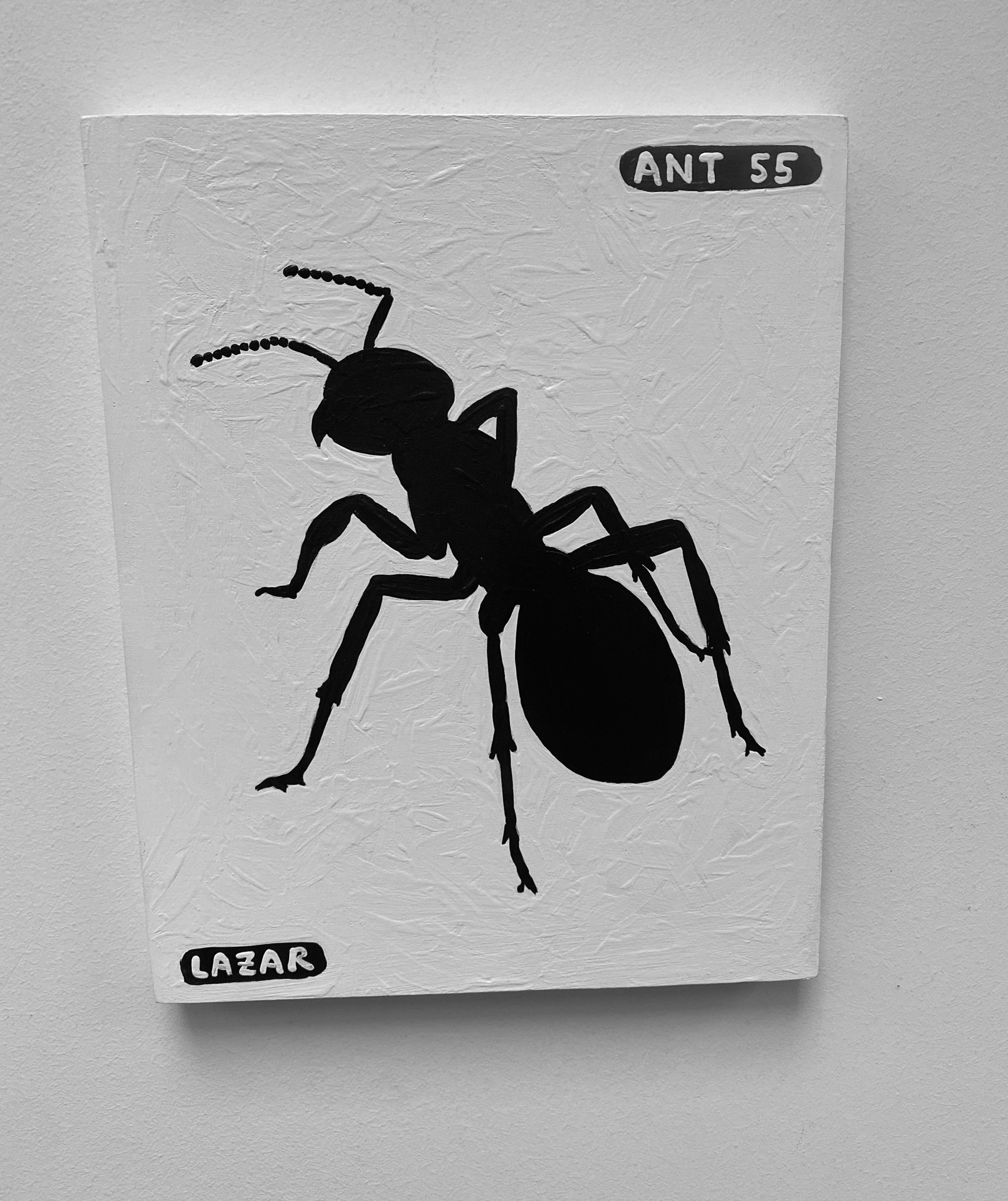 Ant #55