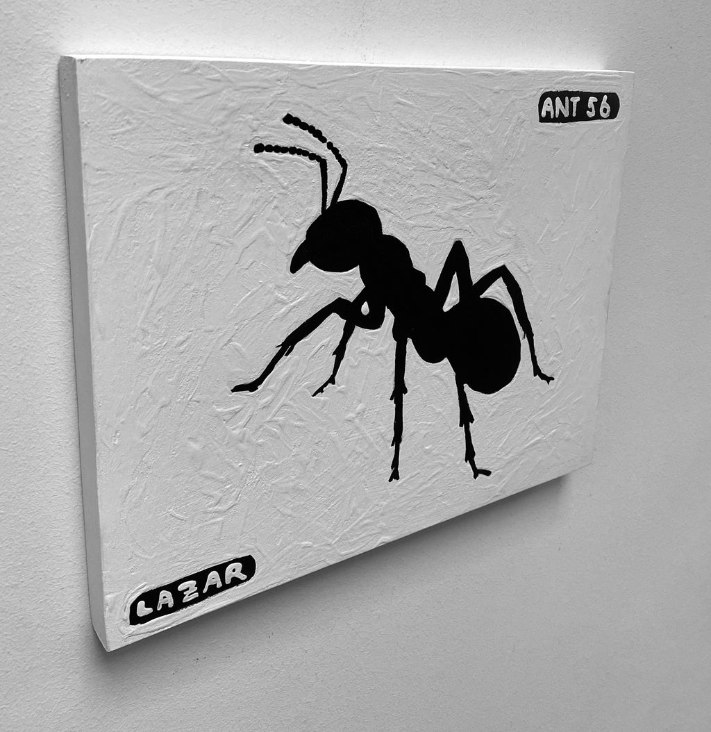 Ant #56