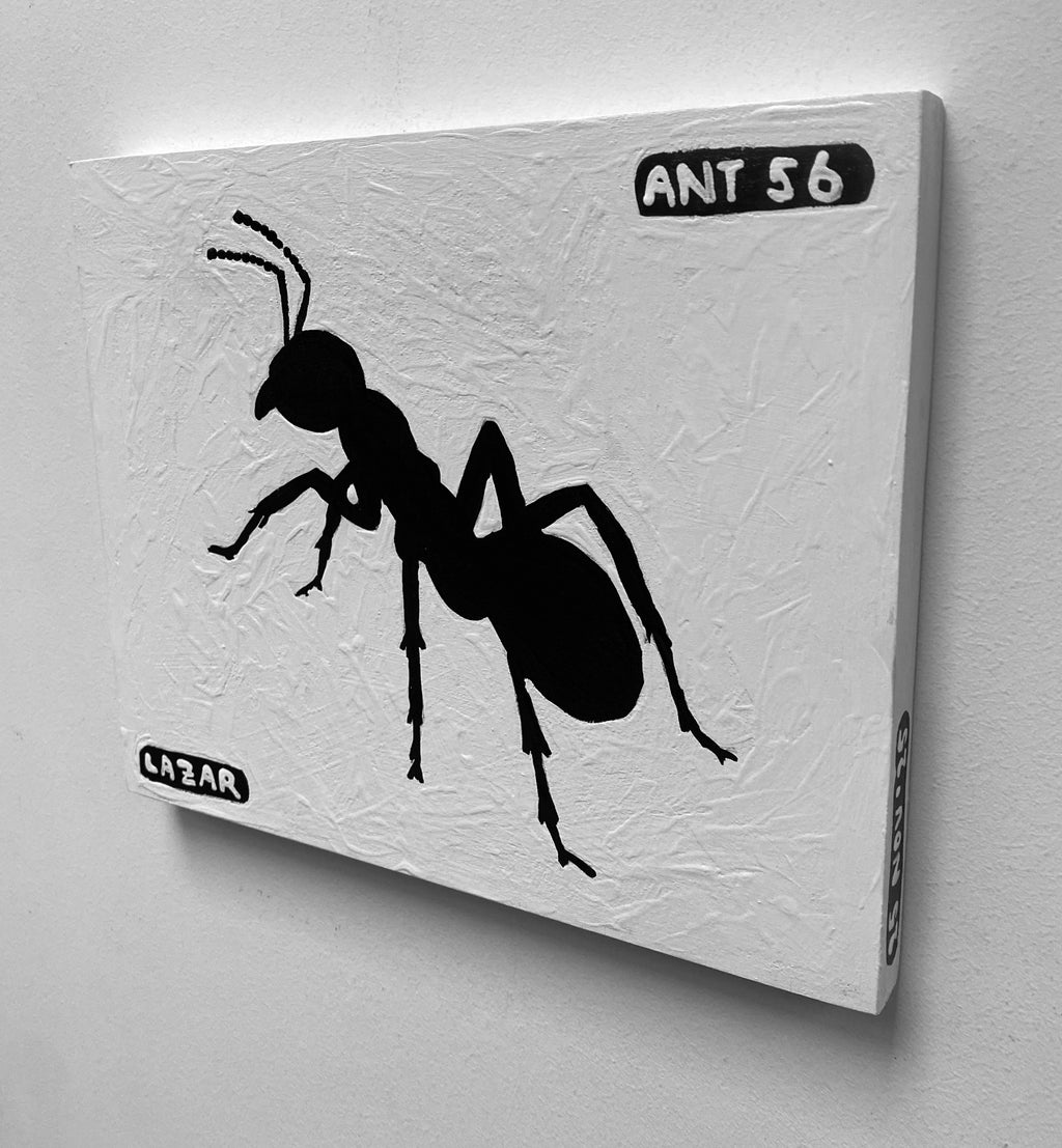 Ant #56