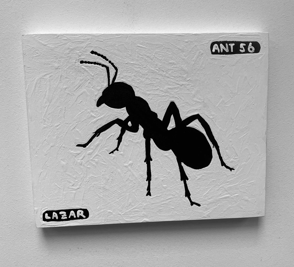 Ant #56