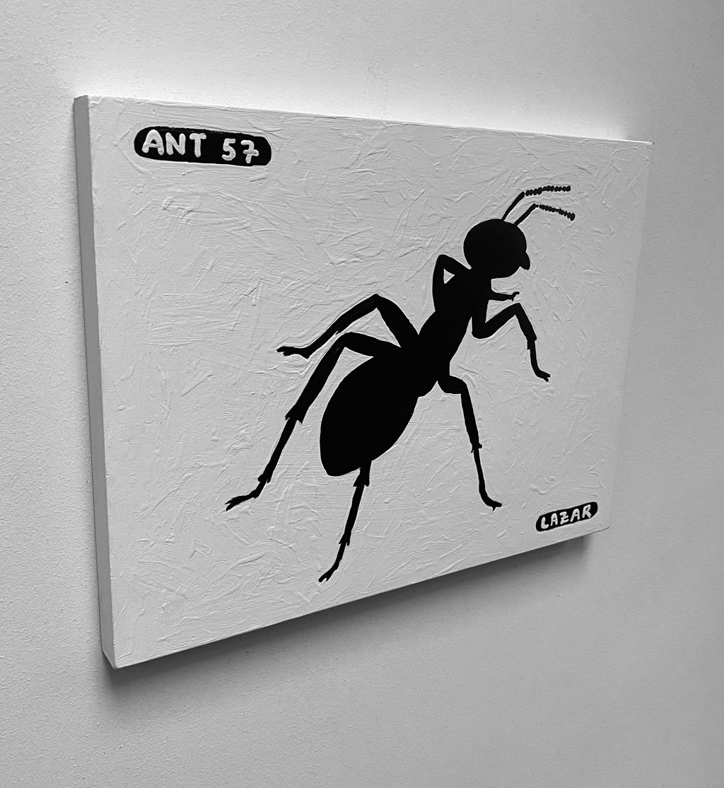 Ant #57
