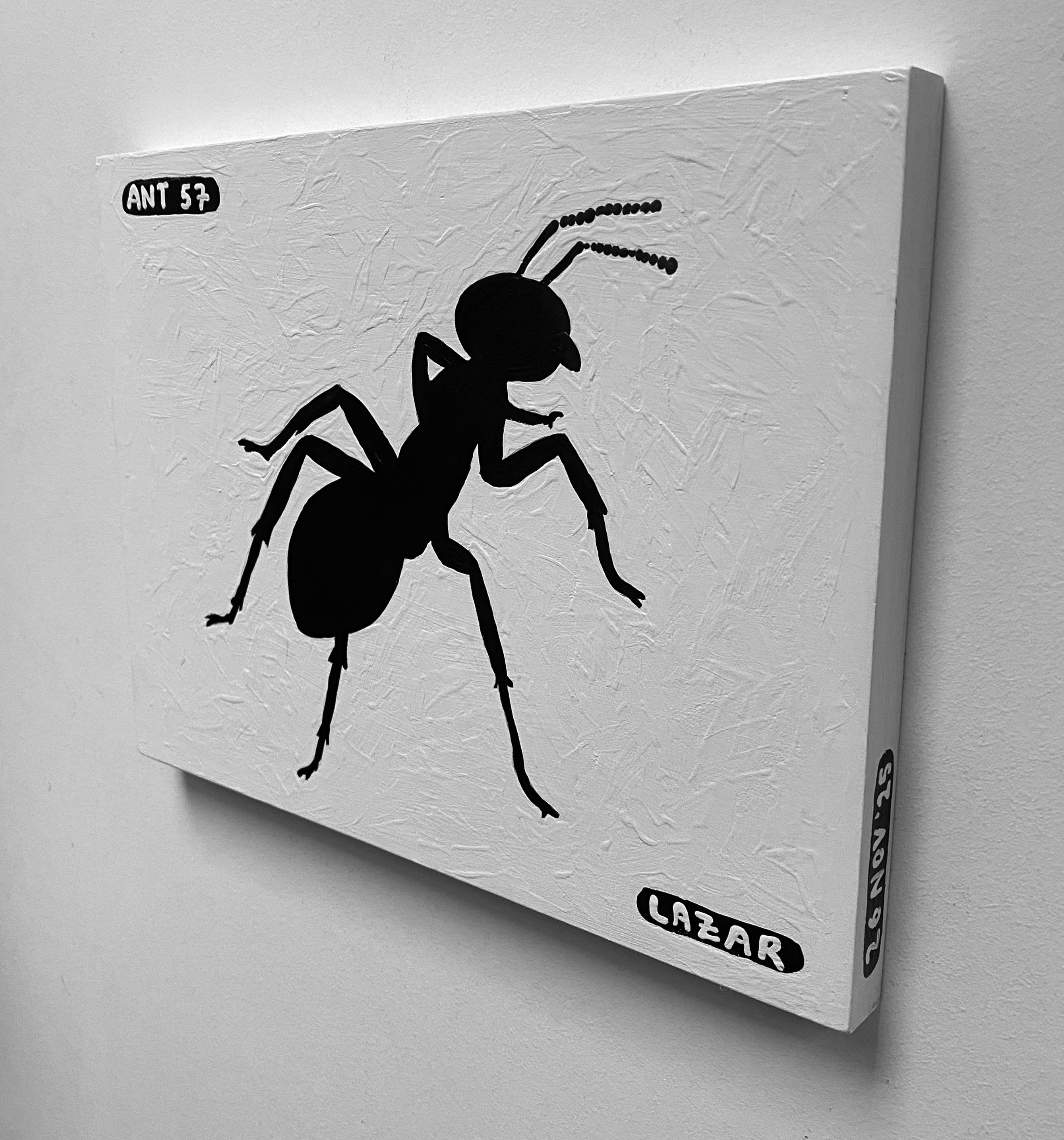 Ant #57