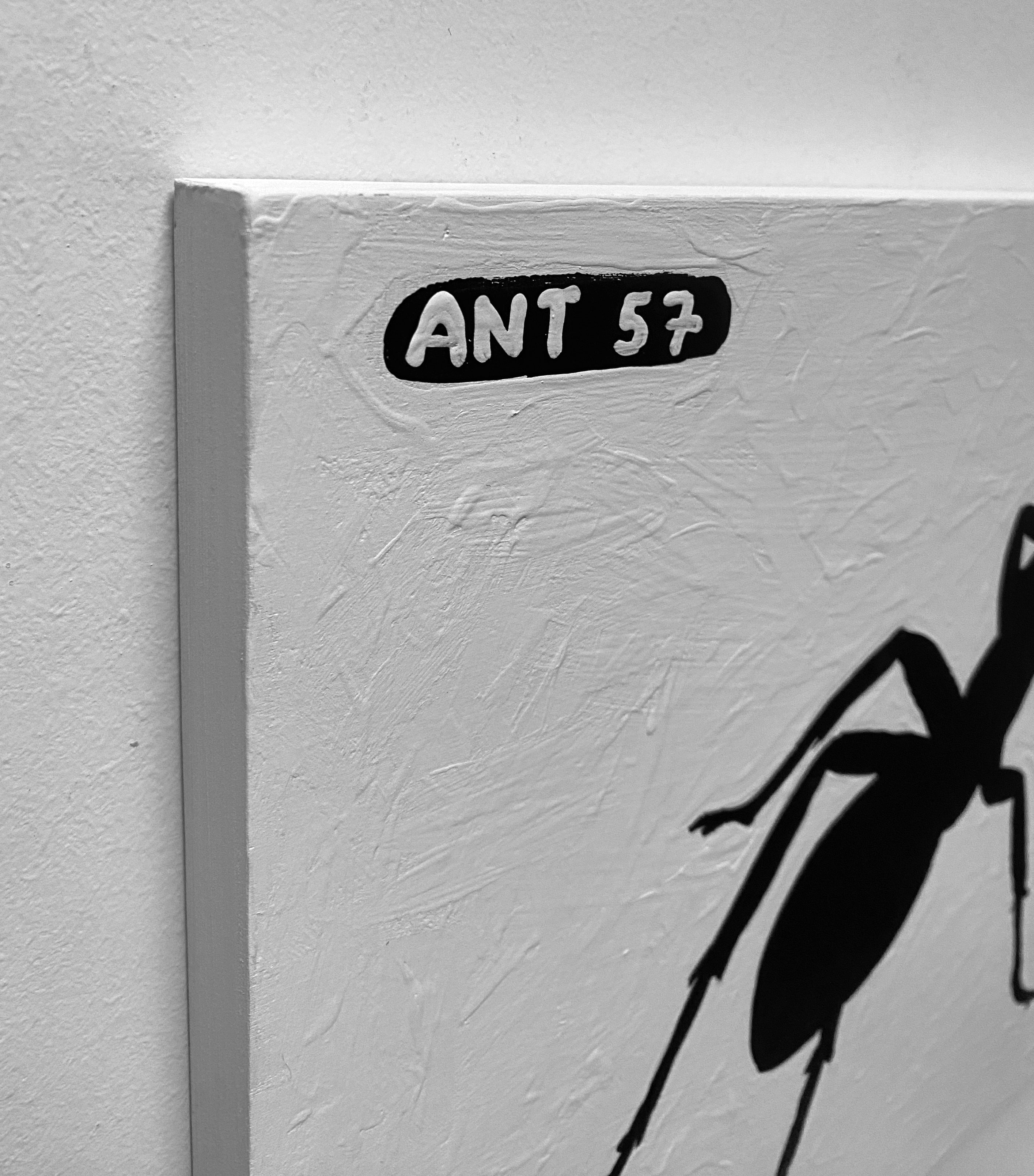 Ant #57