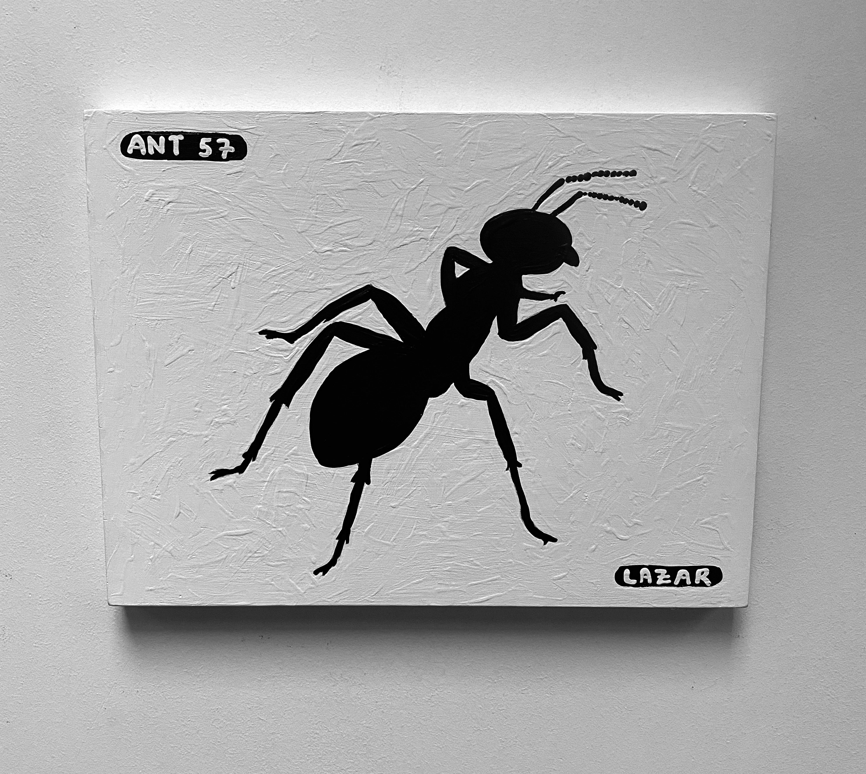 Ant #57