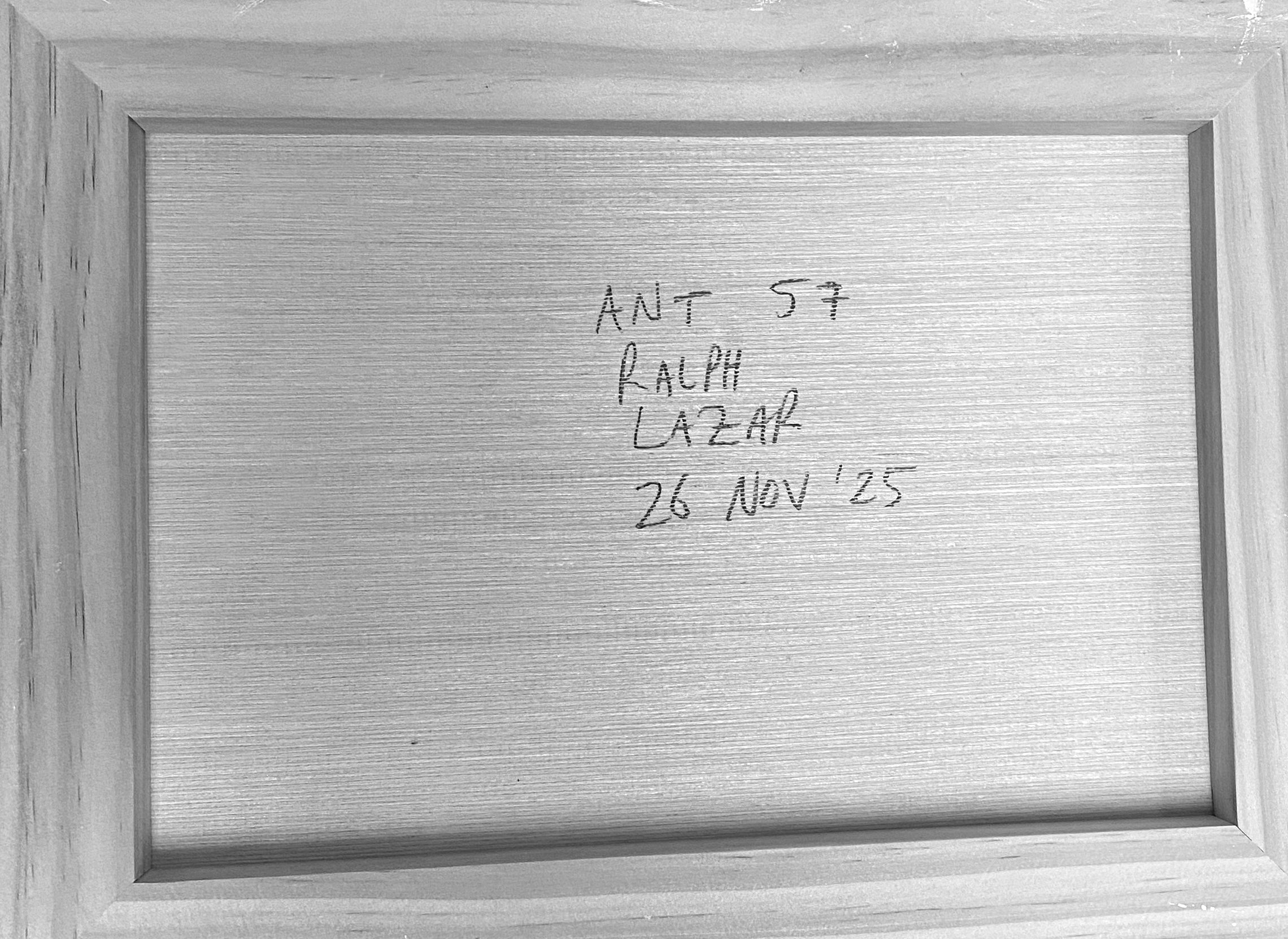 Ant #57