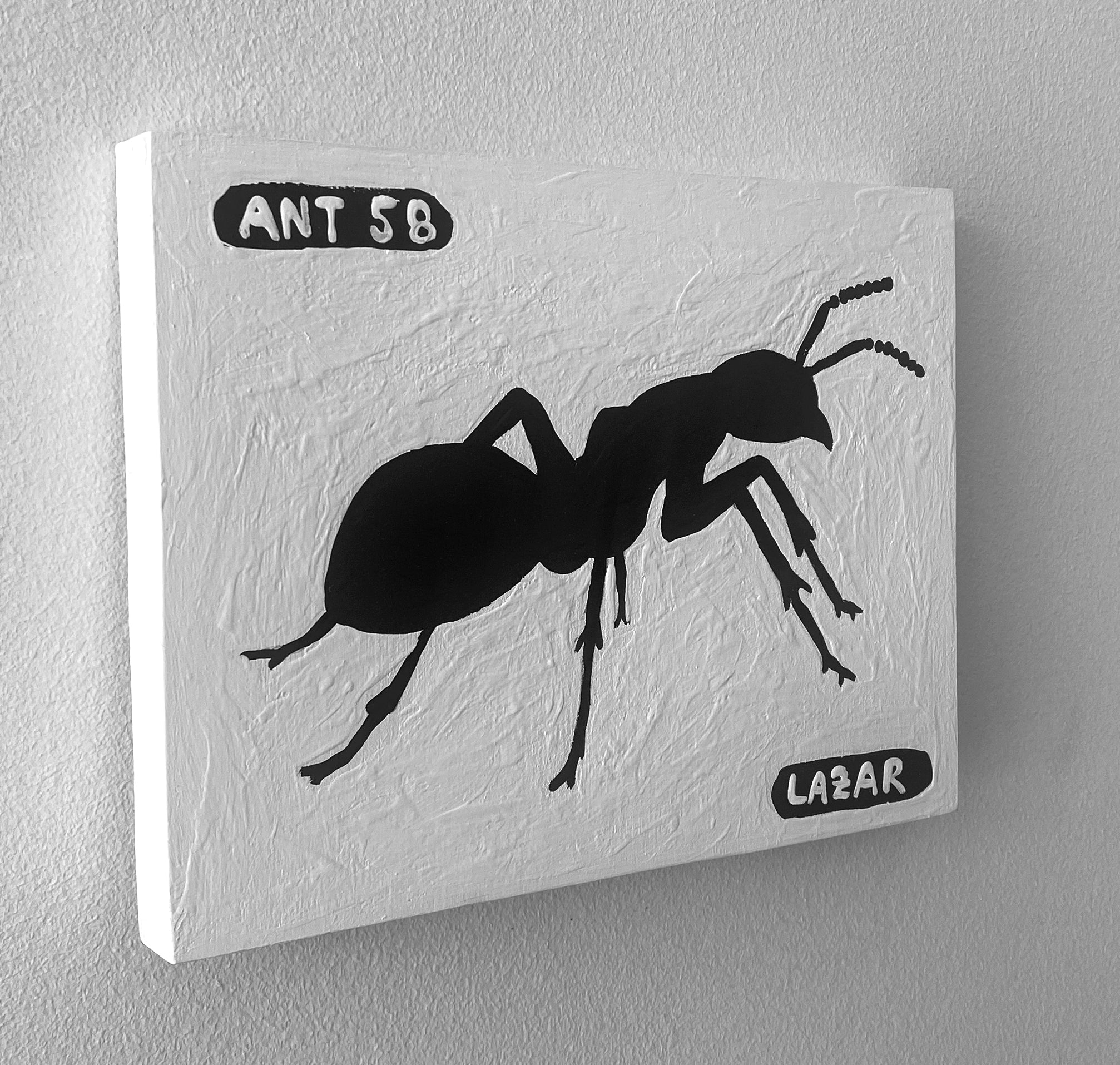Ant #58