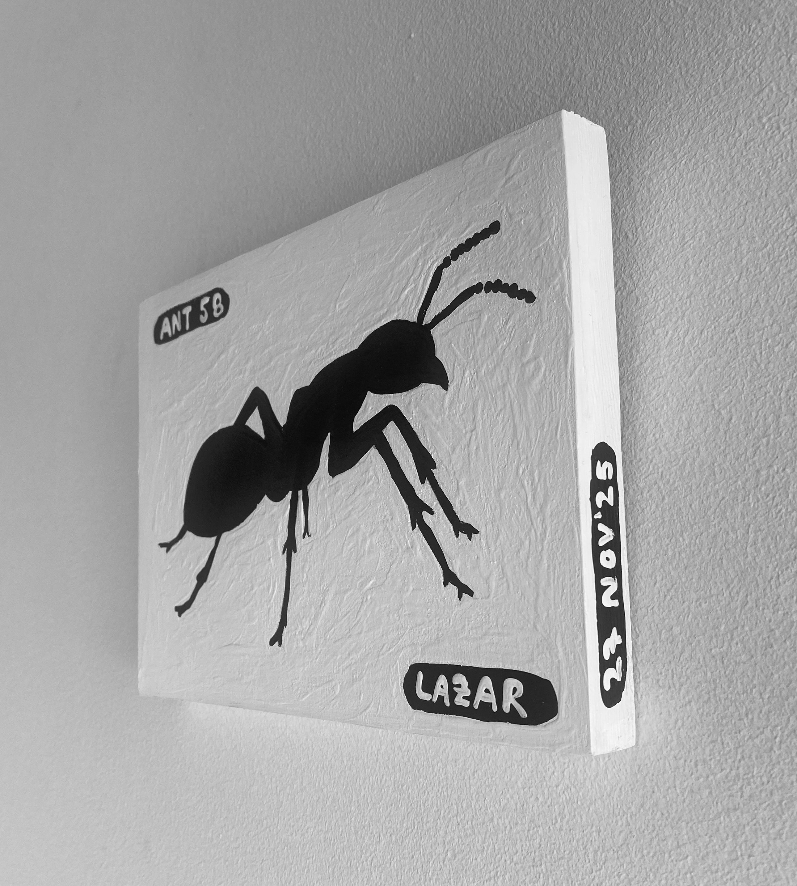 Ant #58