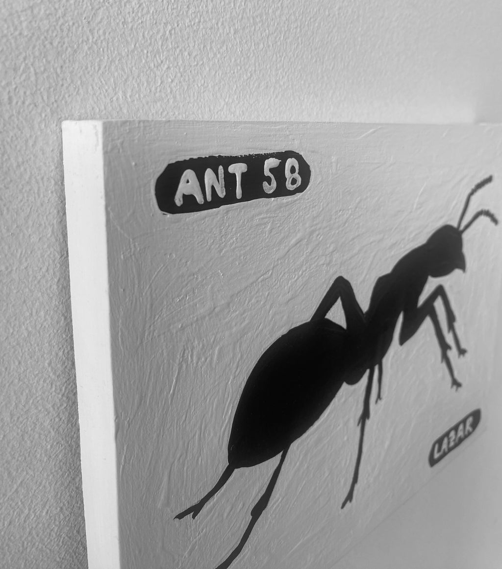 Ant #58