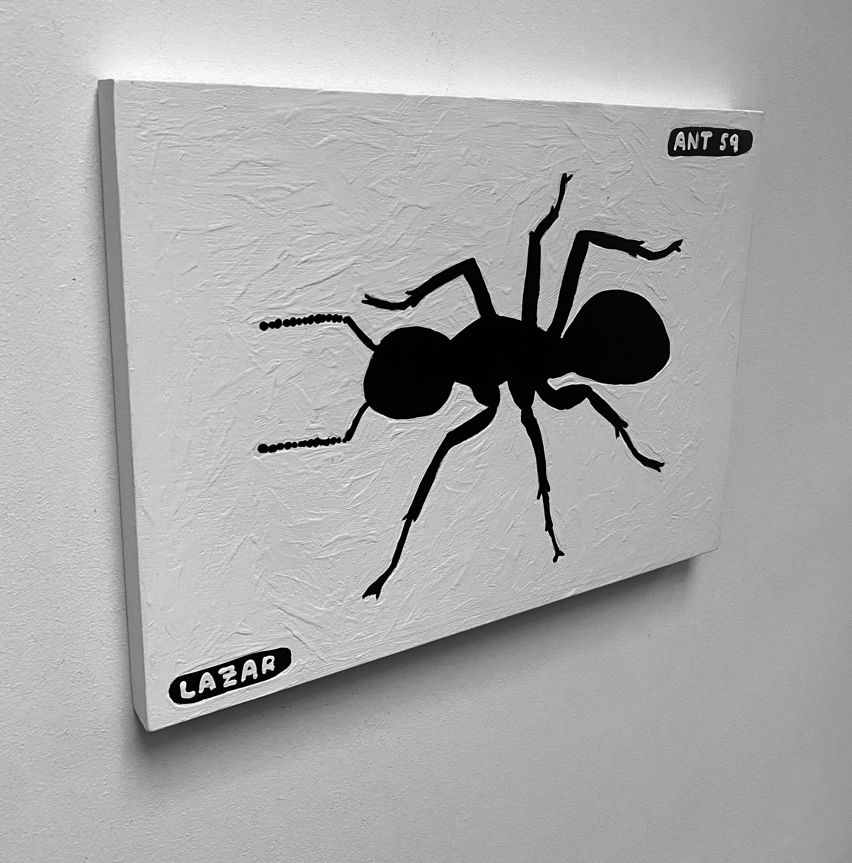 Ant #59