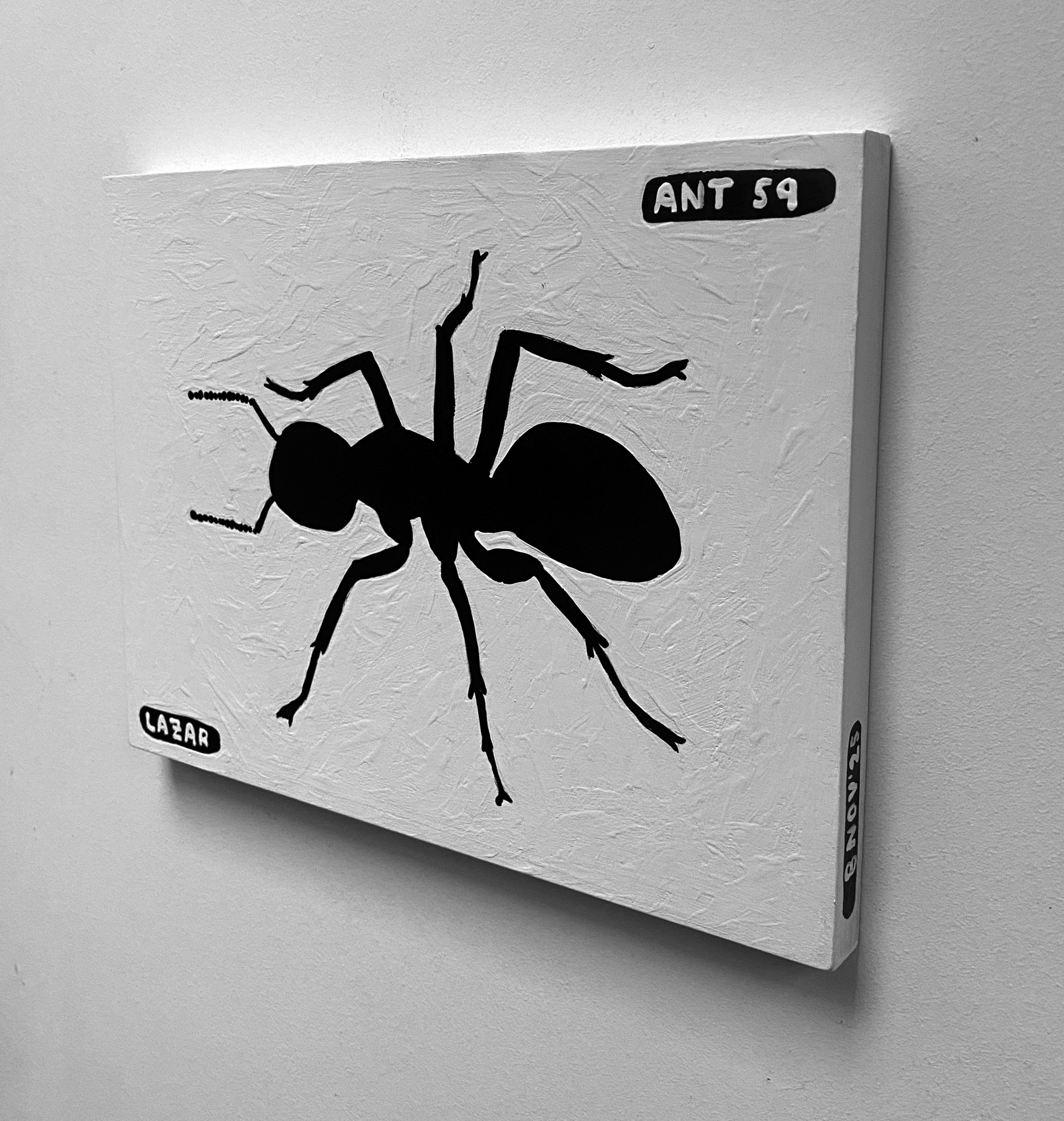 Ant #59