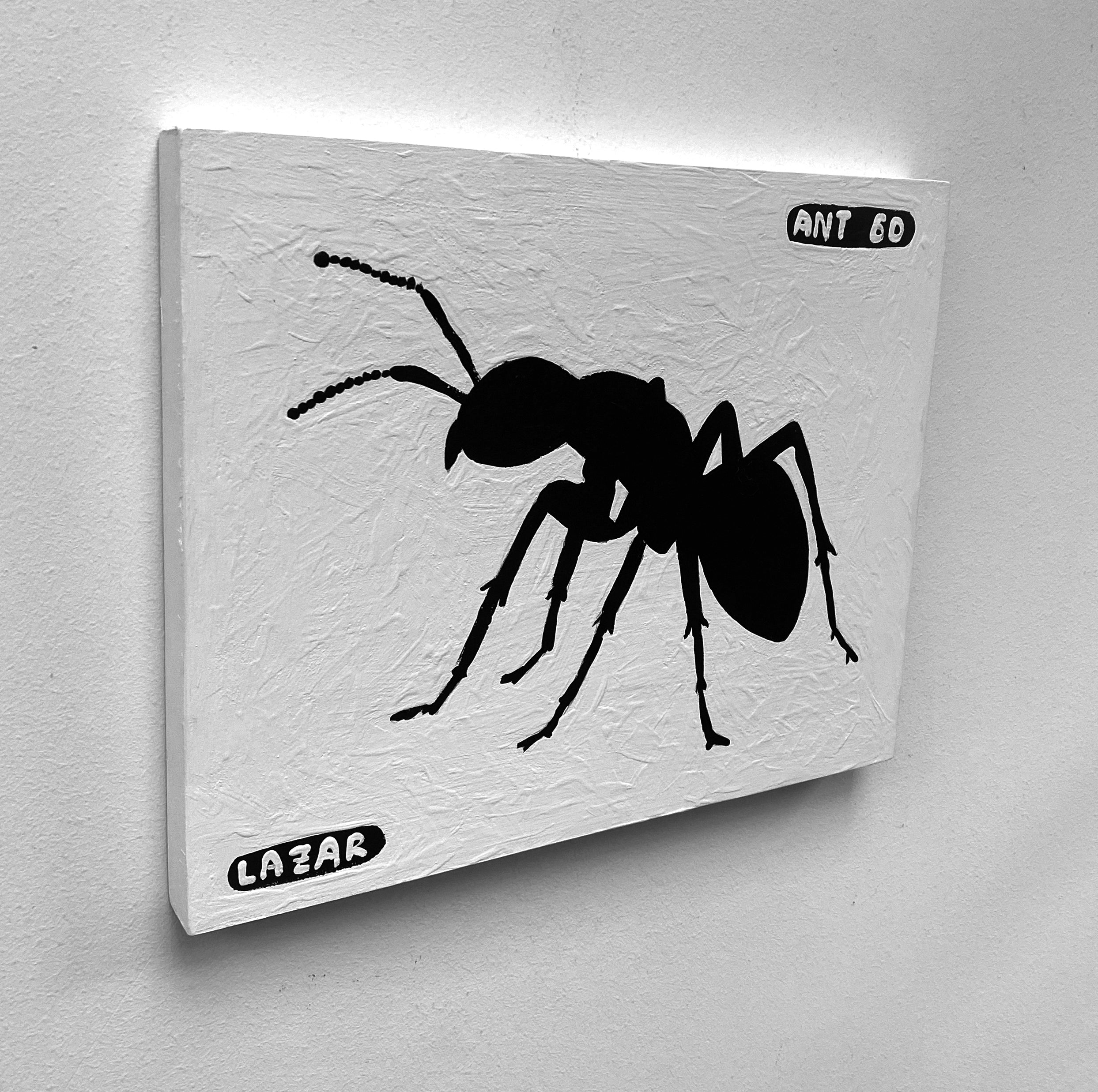 Ant #60