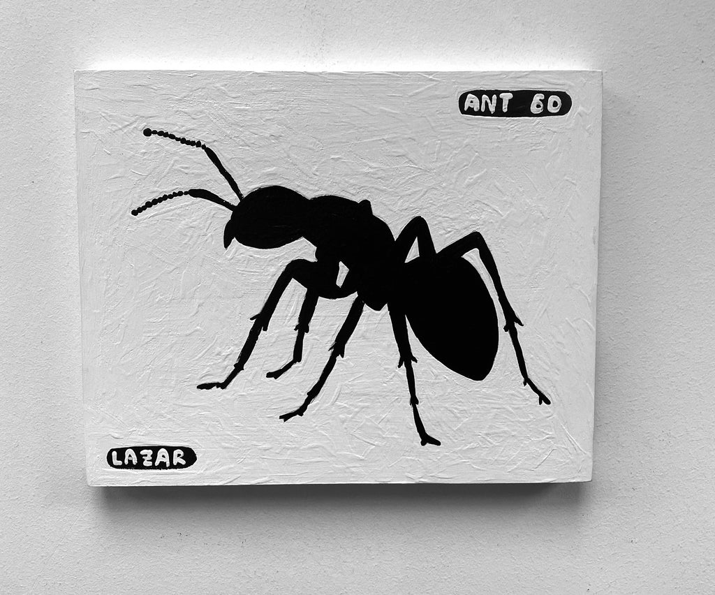 Ant #60