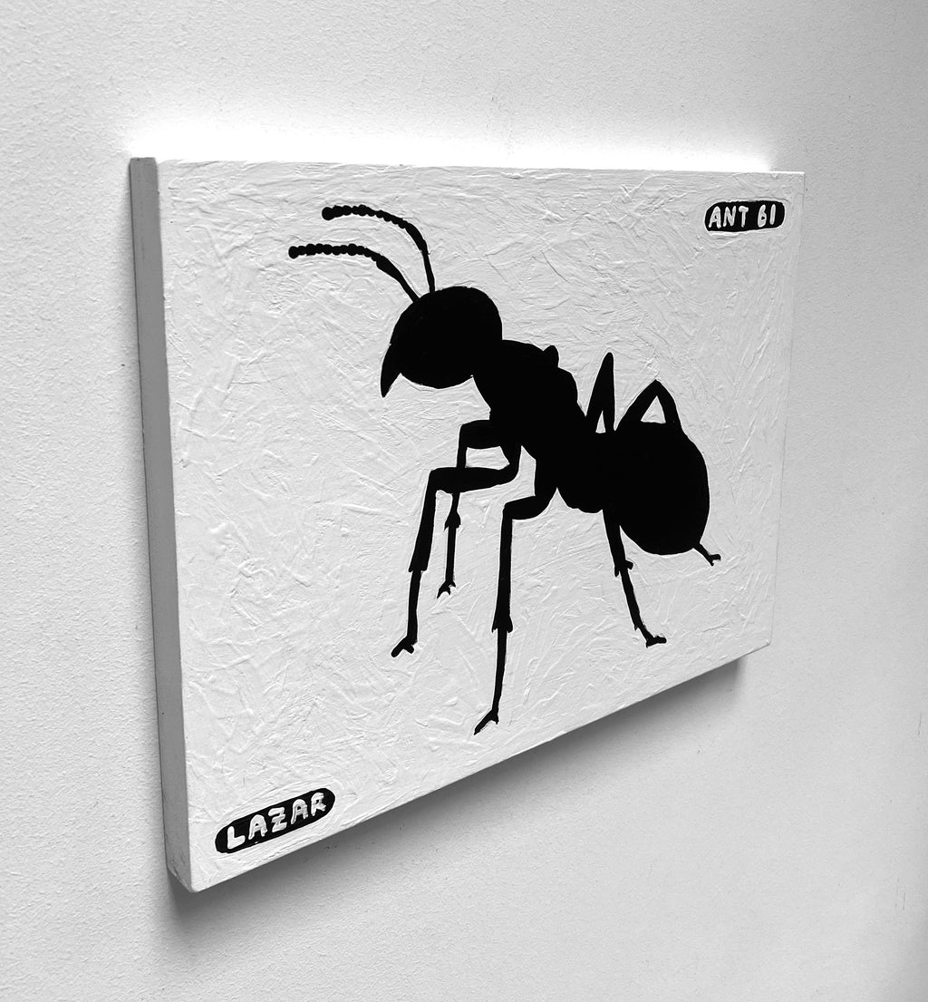 Ant #61