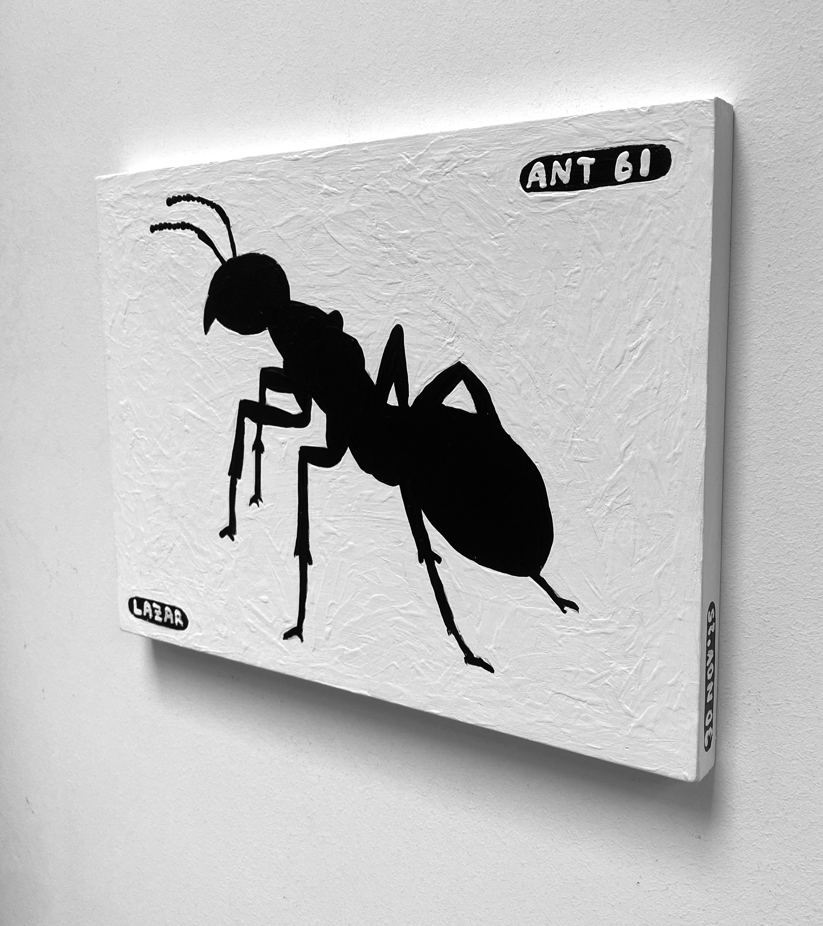 Ant #61