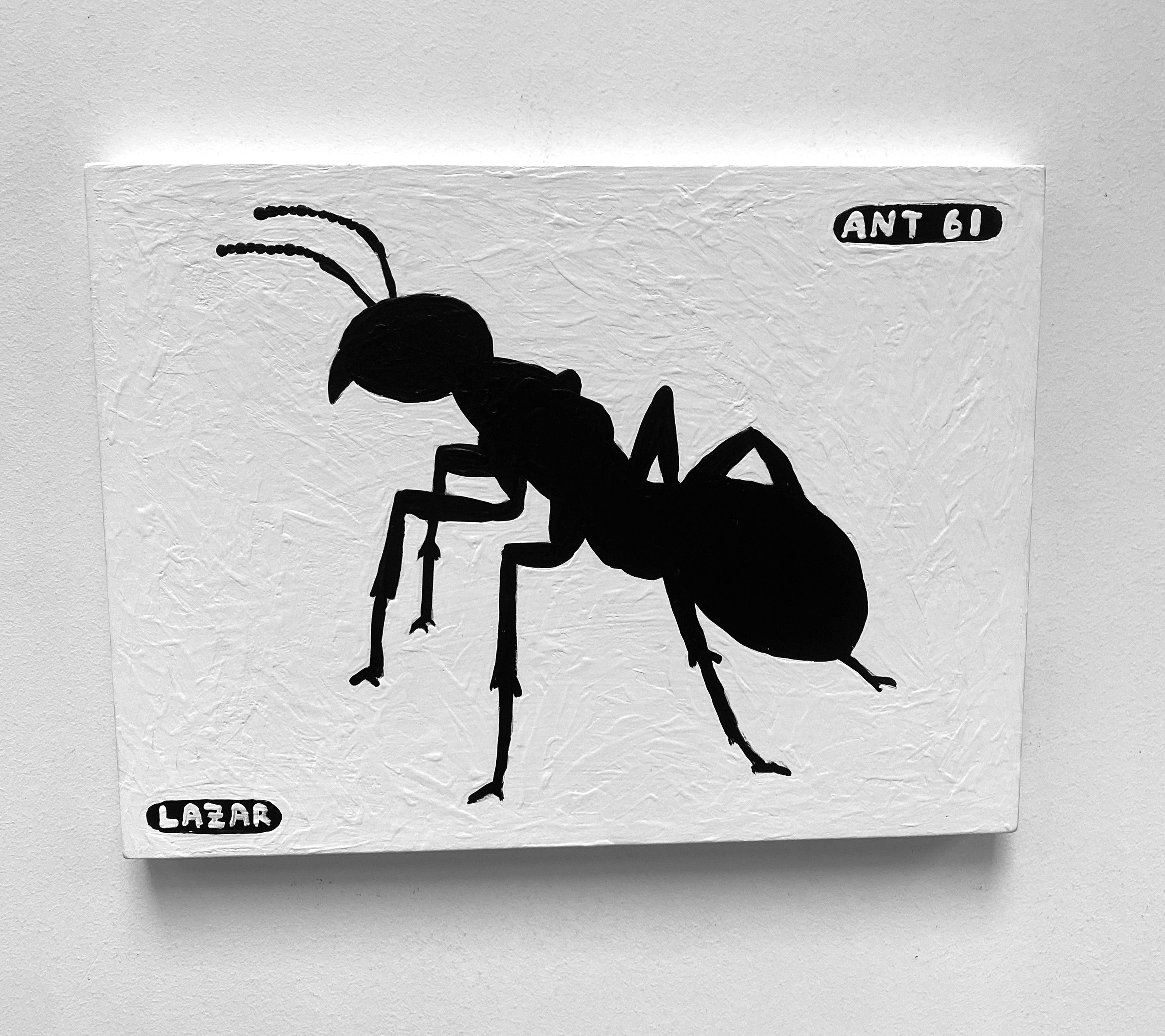Ant #61
