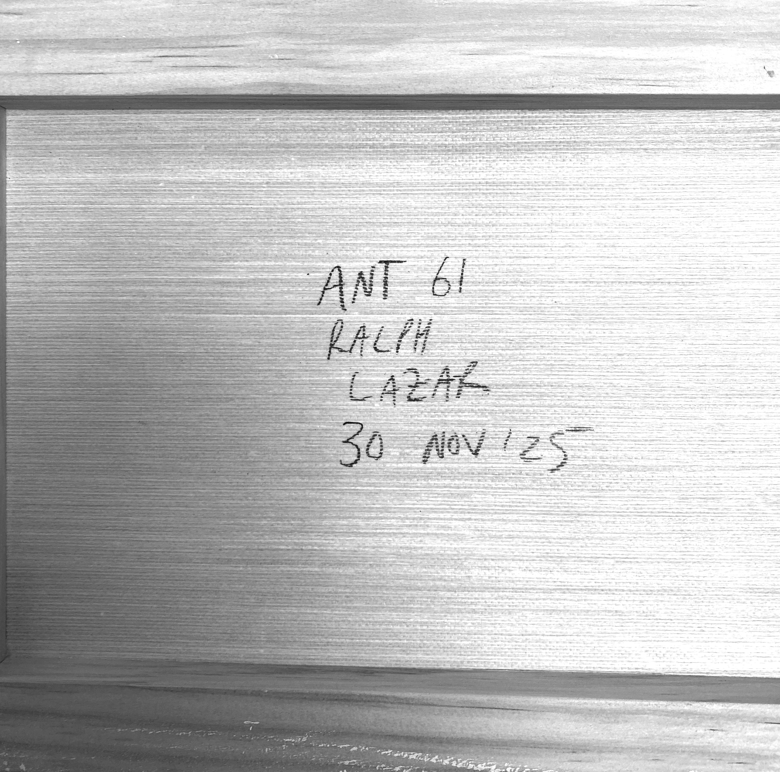 Ant #61