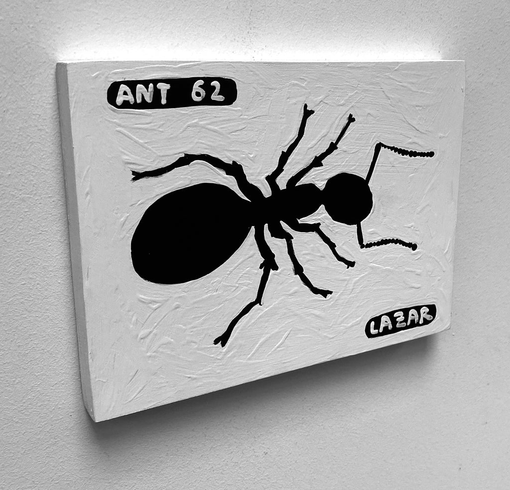 Ant #62
