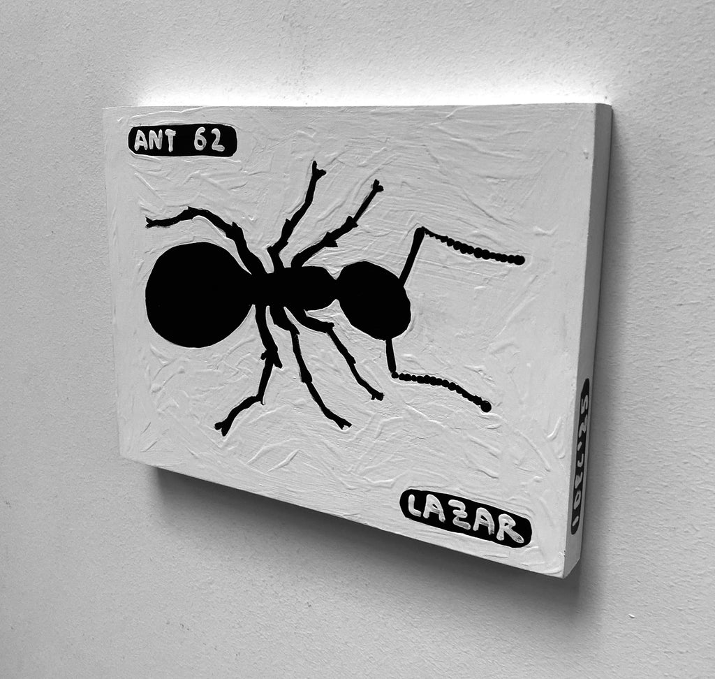 Ant #62