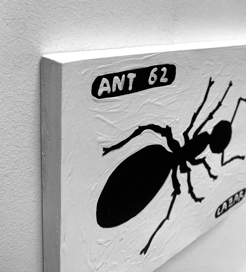 Ant #62