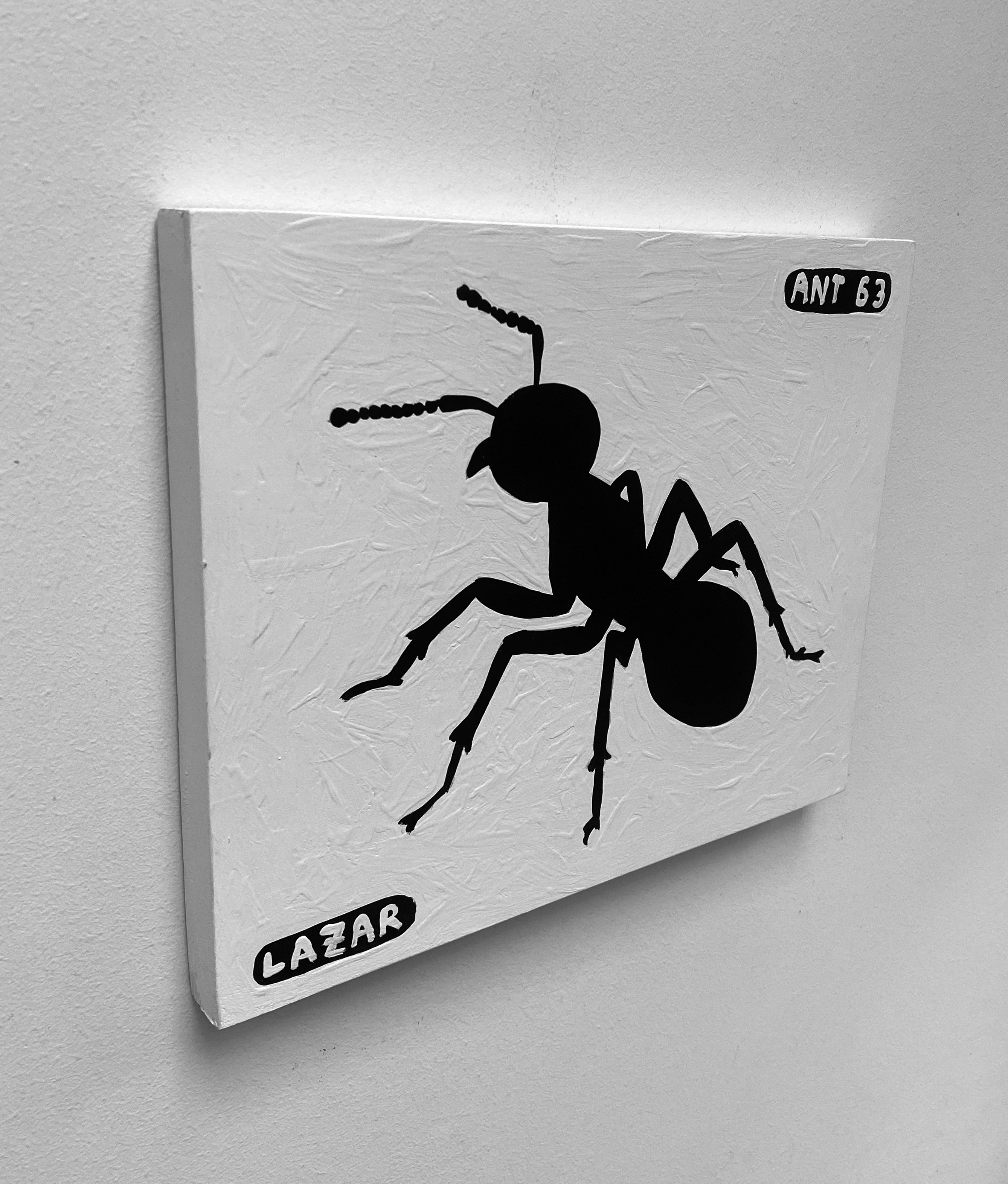 Ant #63