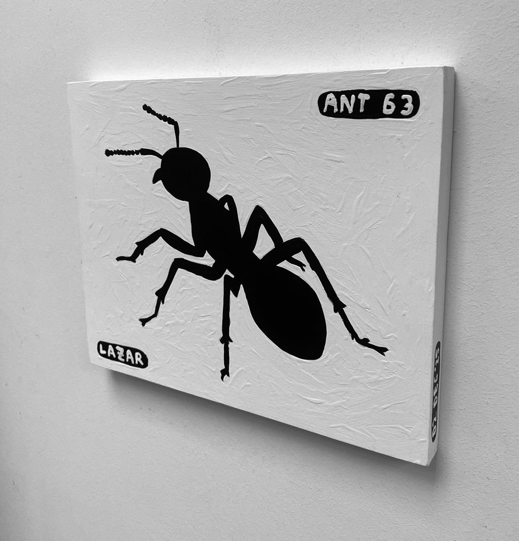Ant #63