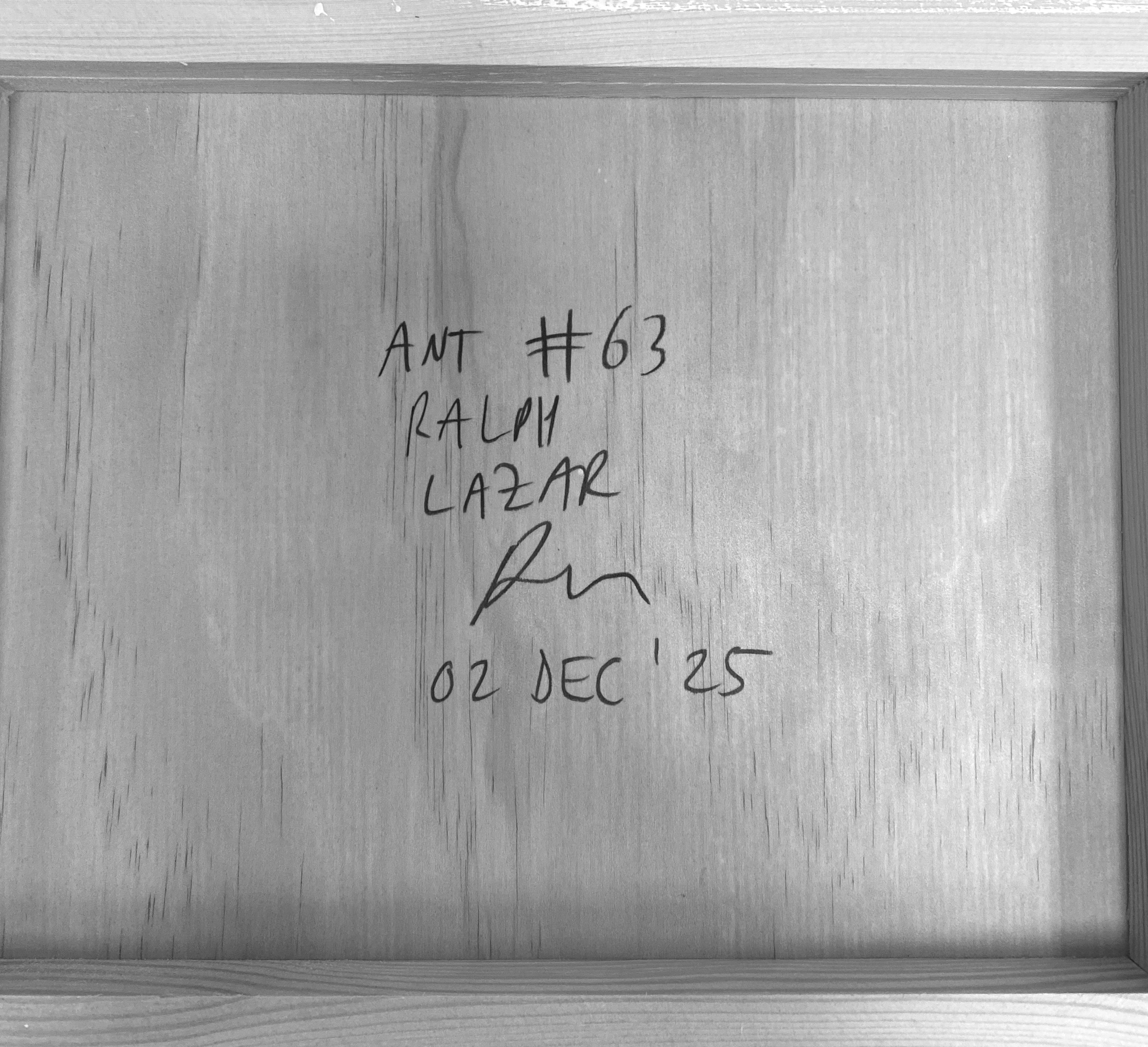 Ant #63