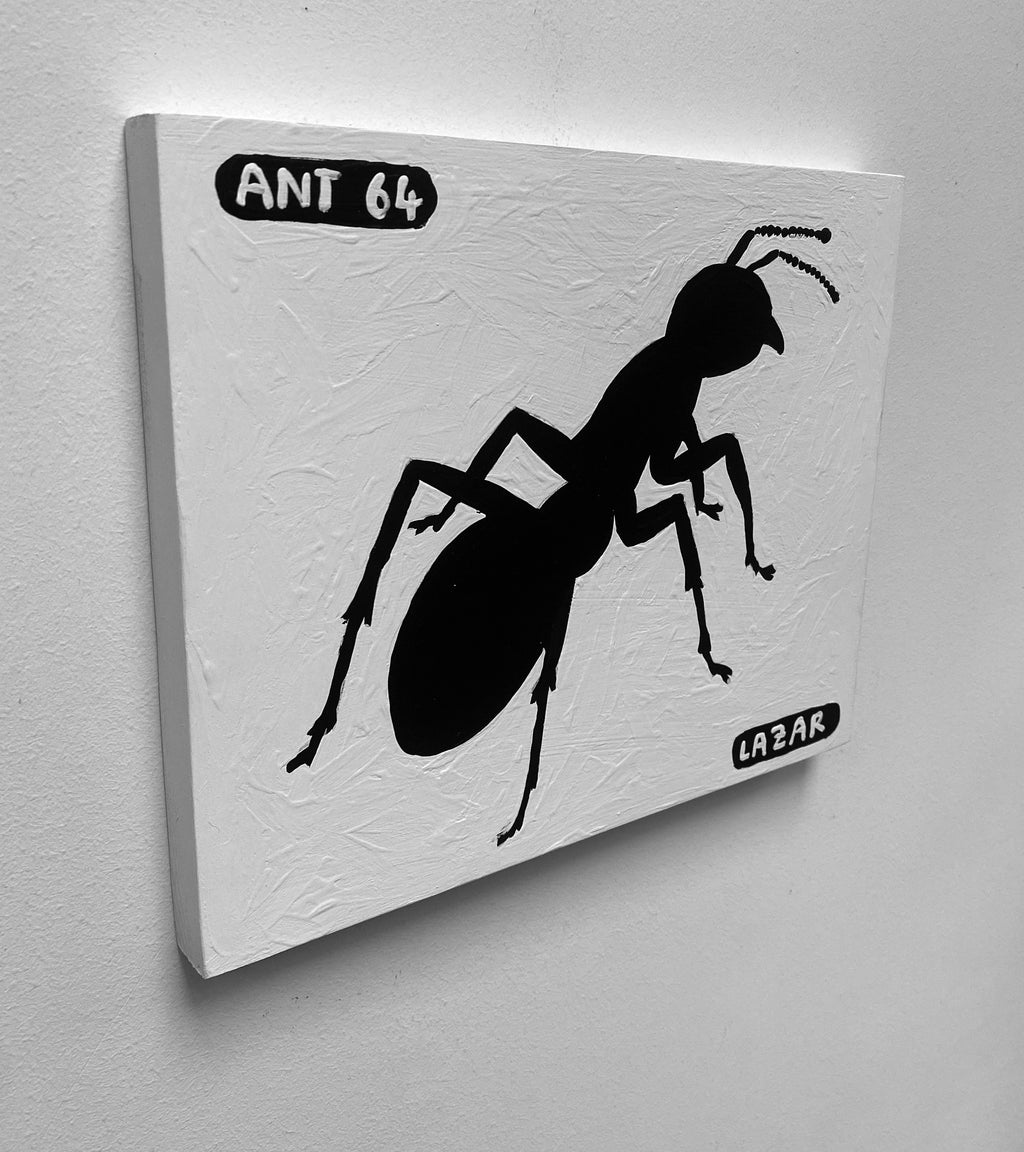 Ant #64