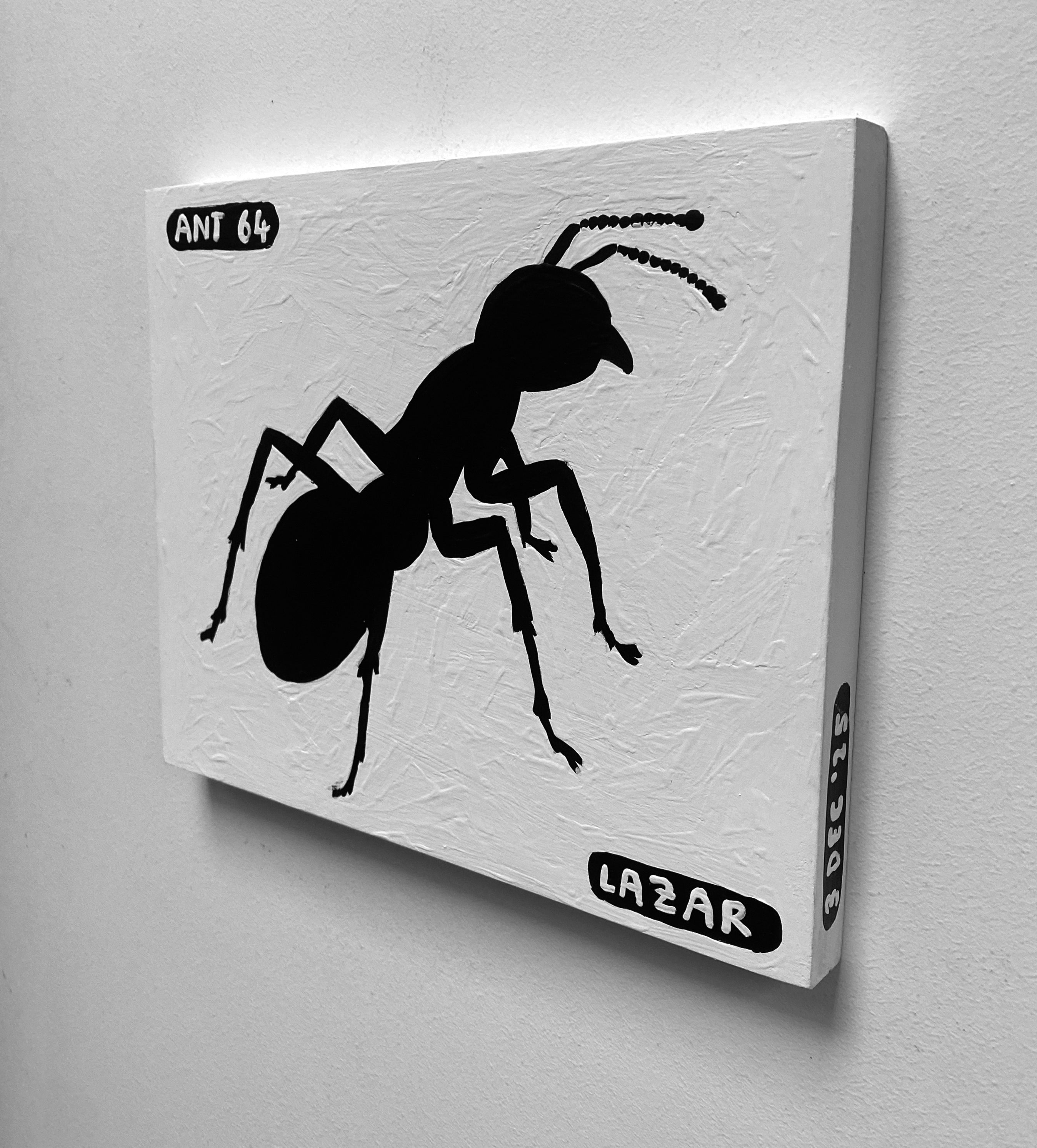 Ant #64