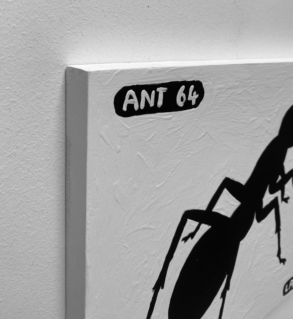 Ant #64