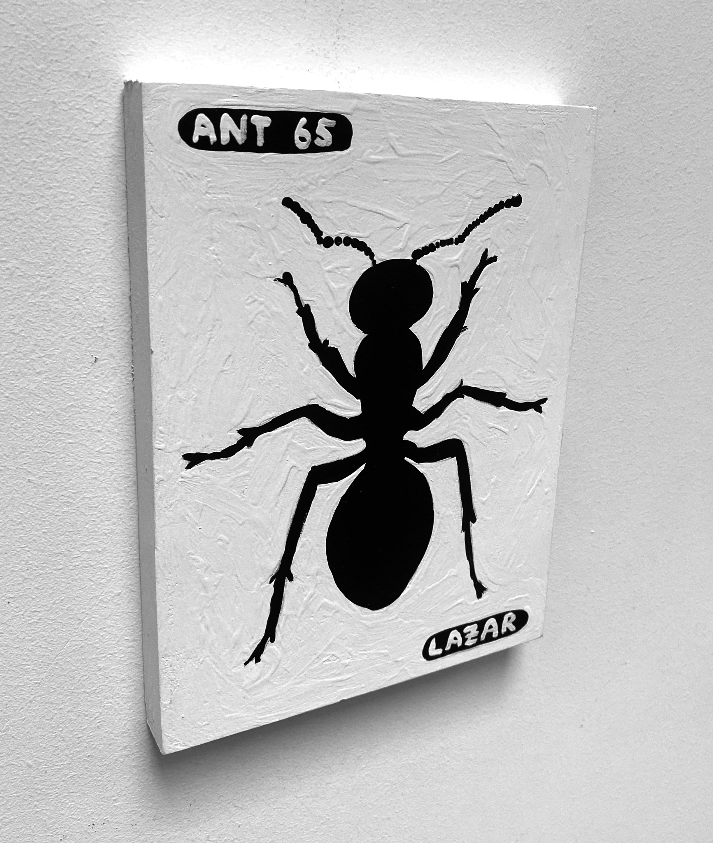 Ant #65