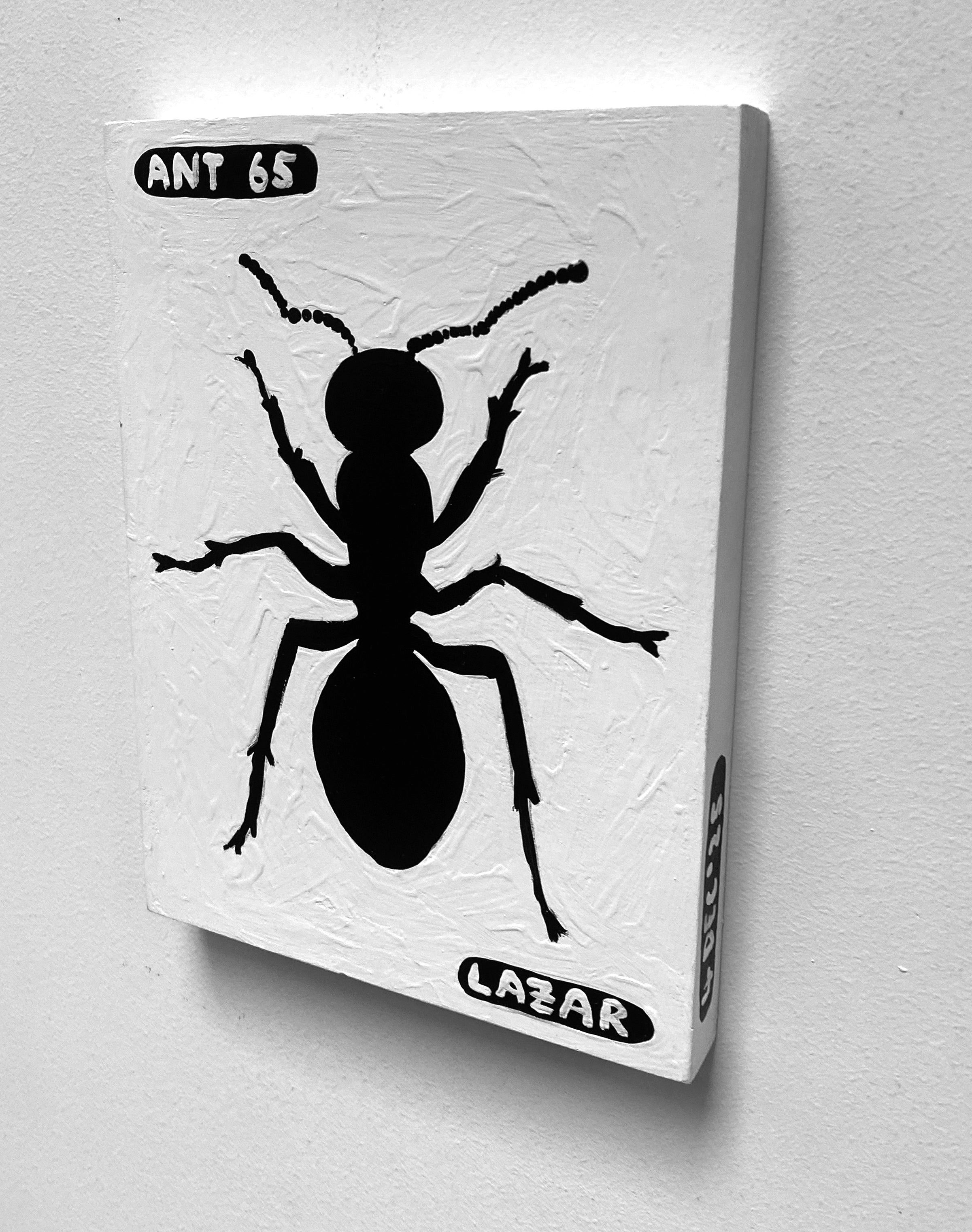 Ant #65
