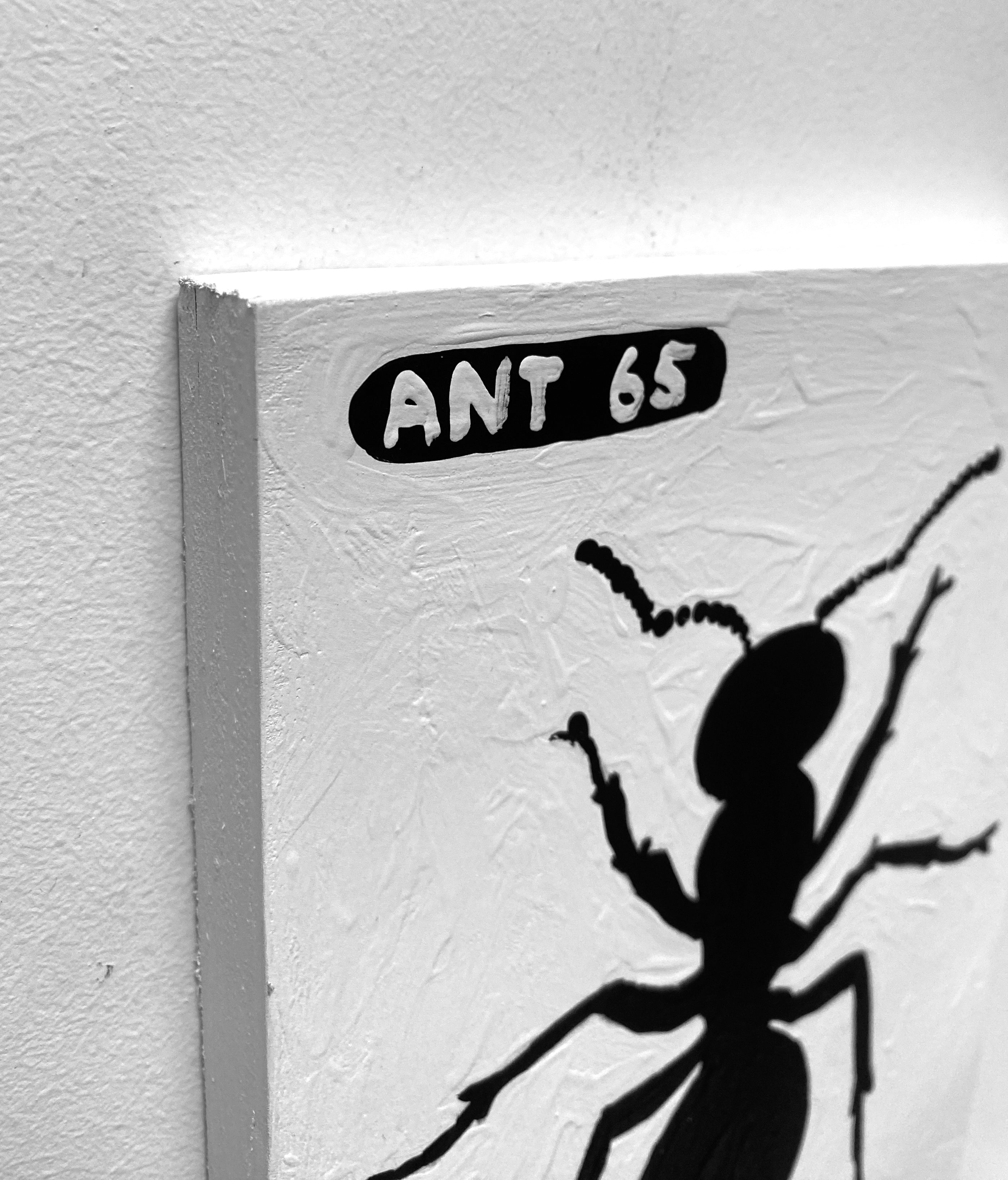 Ant #65